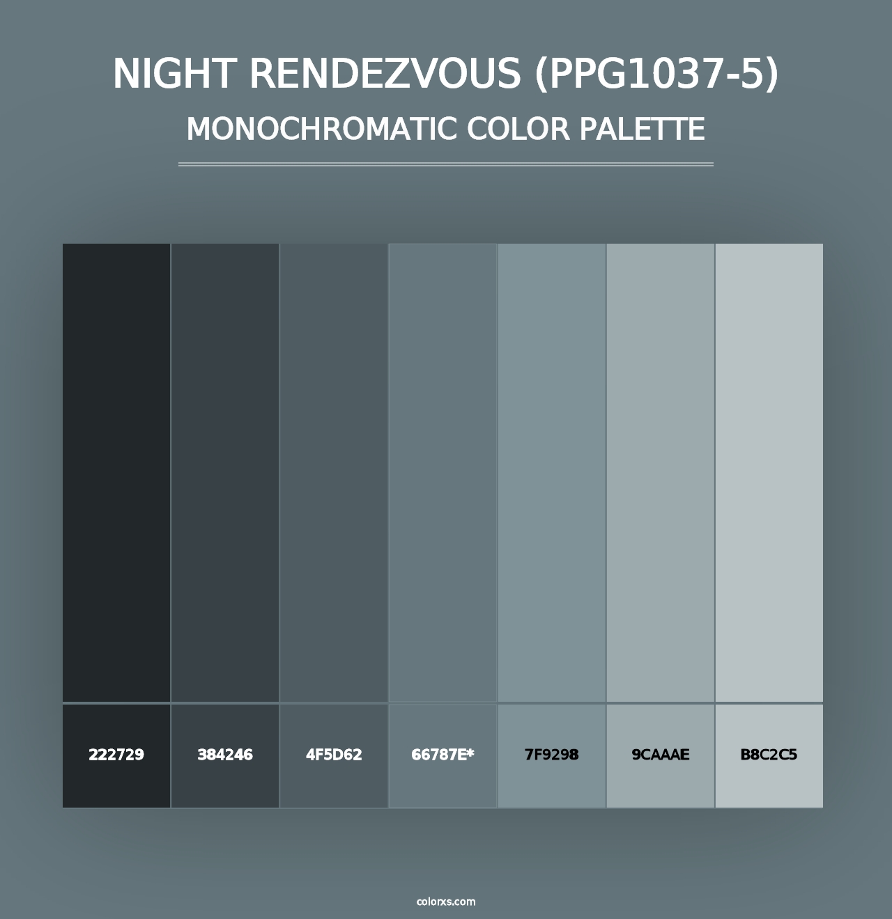 Night Rendezvous (PPG1037-5) - Monochromatic Color Palette