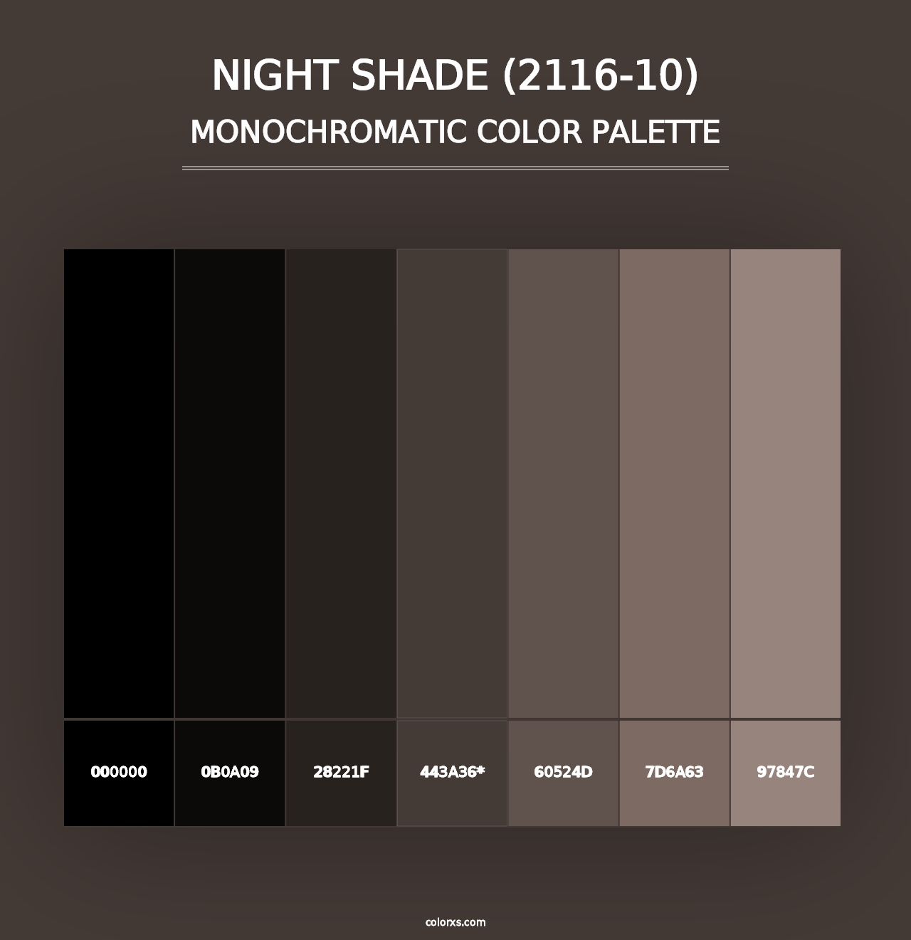 Night Shade (2116-10) - Monochromatic Color Palette