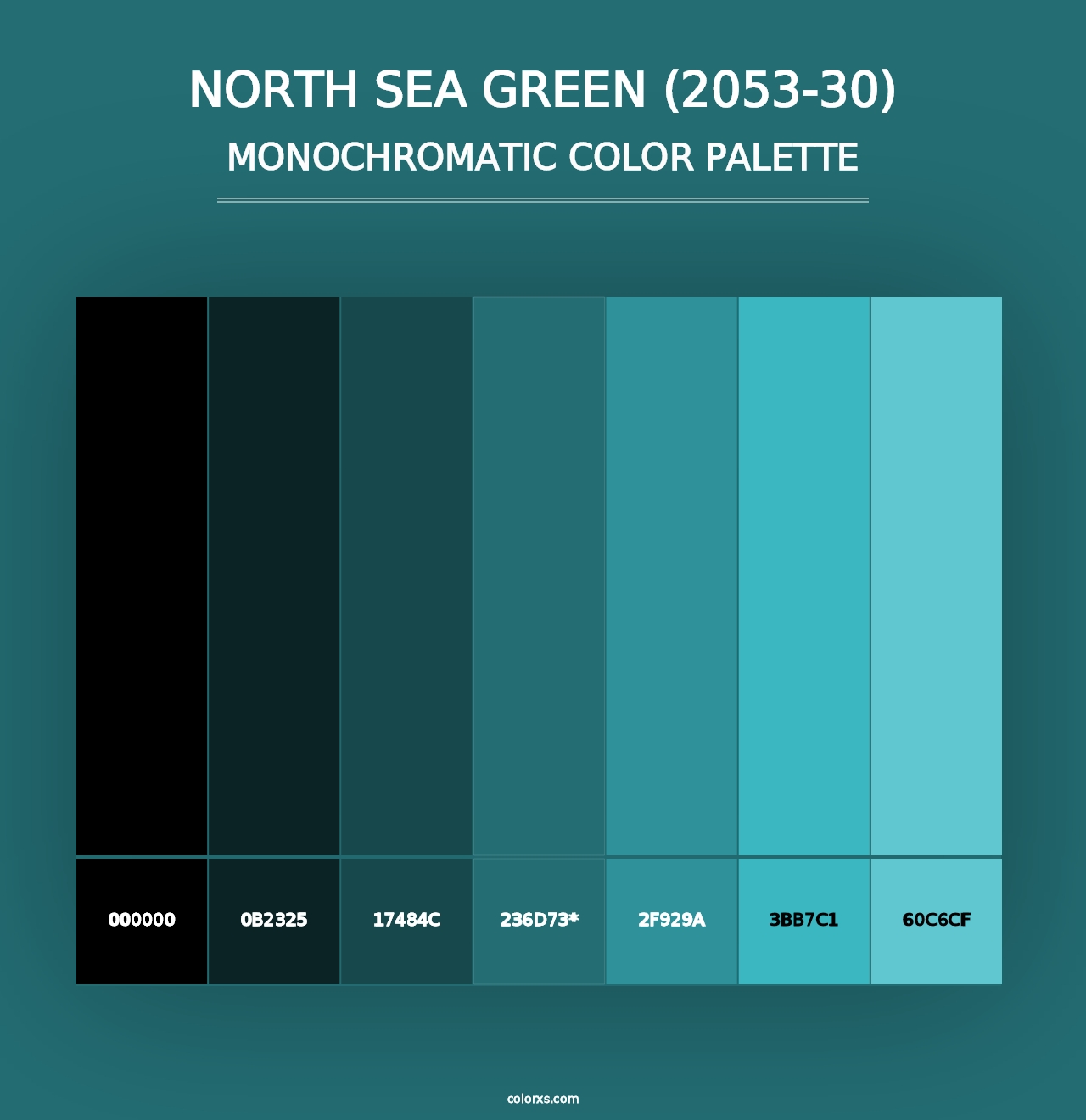 North Sea Green (2053-30) - Monochromatic Color Palette