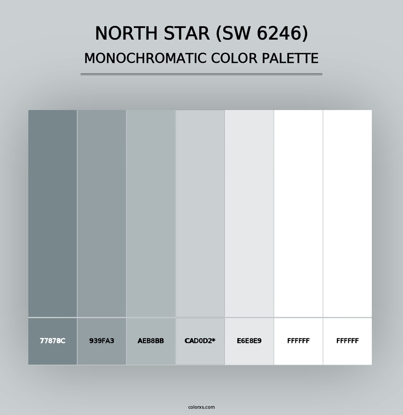 North Star (SW 6246) - Monochromatic Color Palette