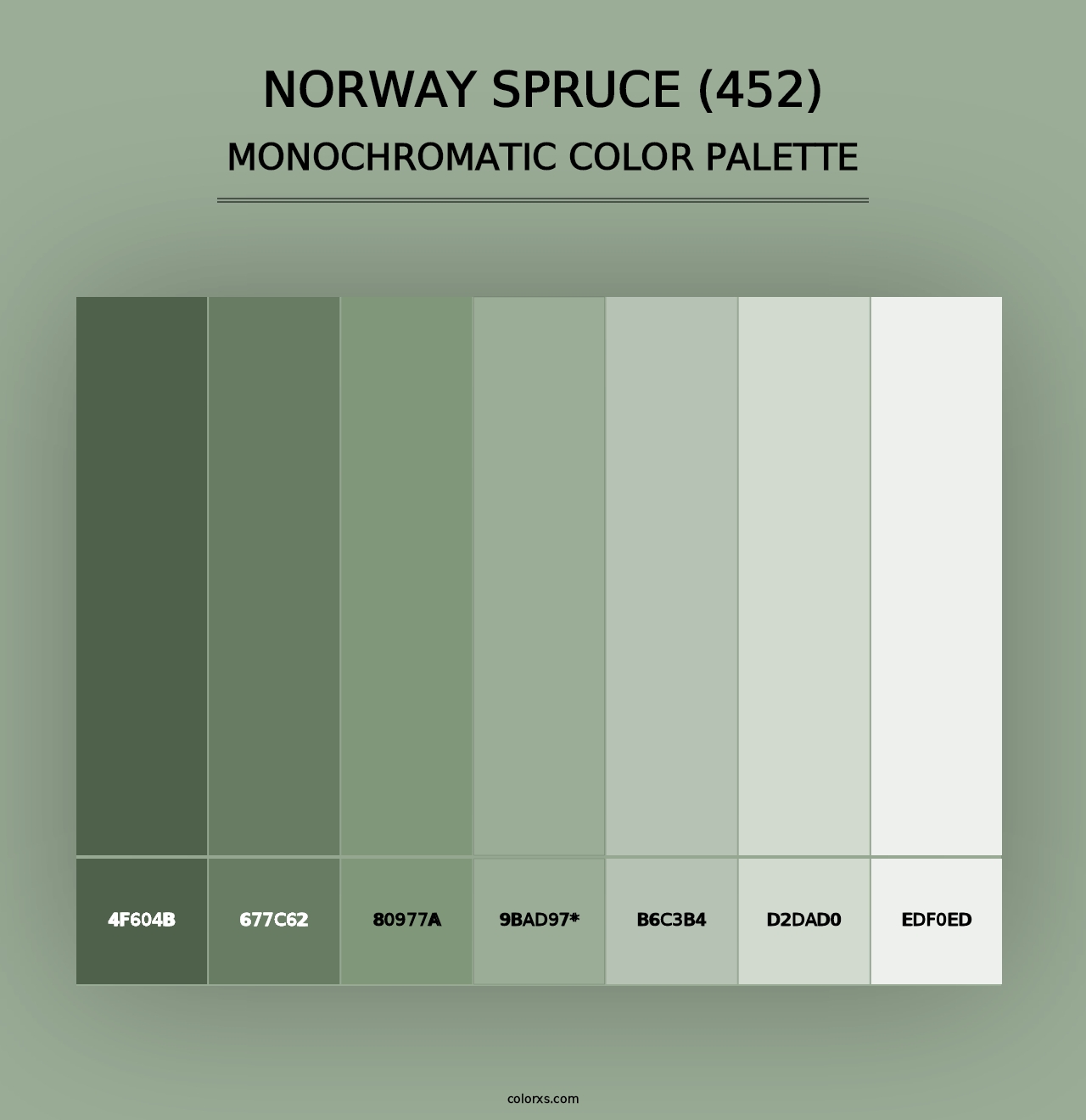 Norway Spruce (452) - Monochromatic Color Palette