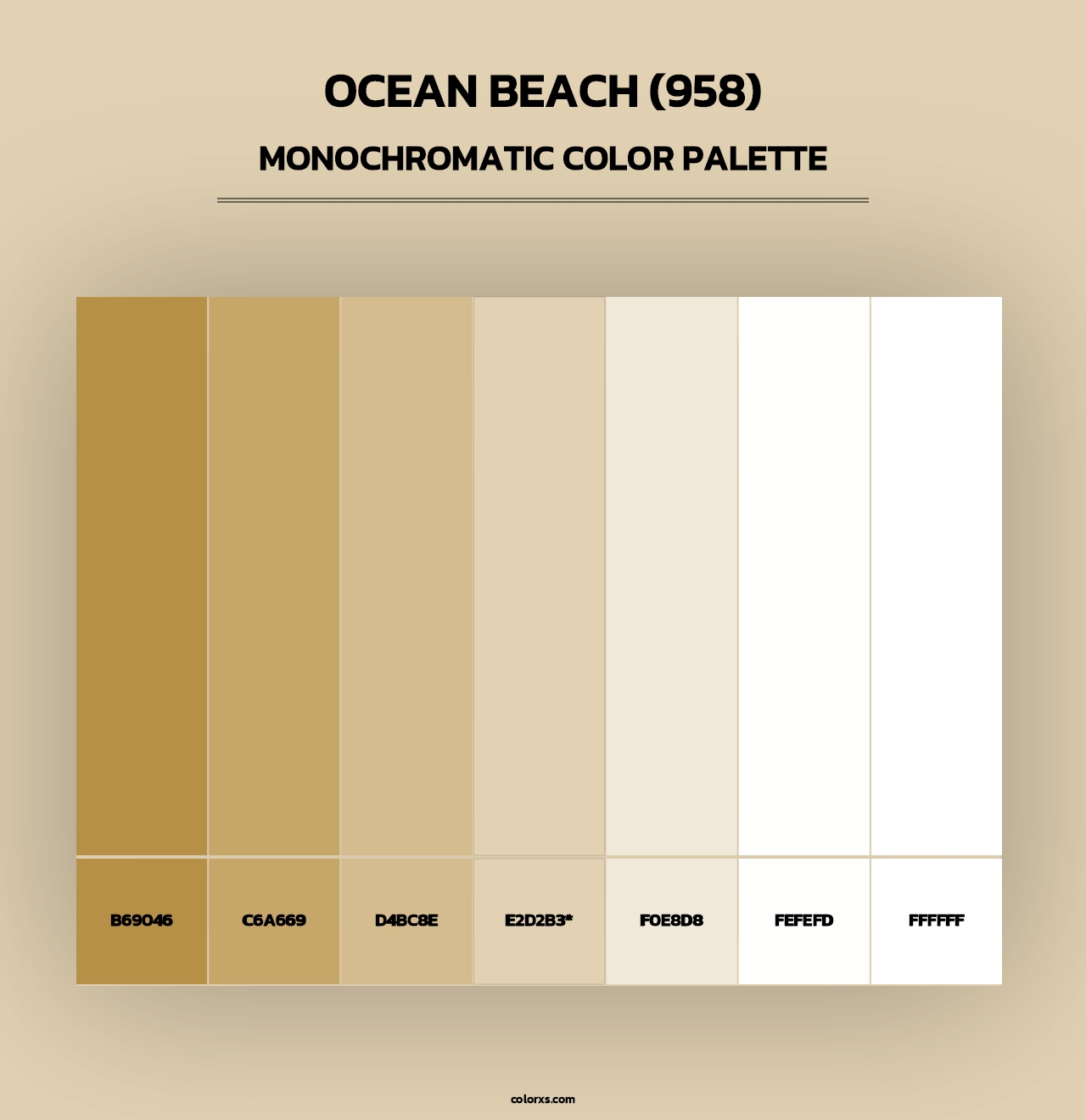 Ocean Beach (958) - Monochromatic Color Palette