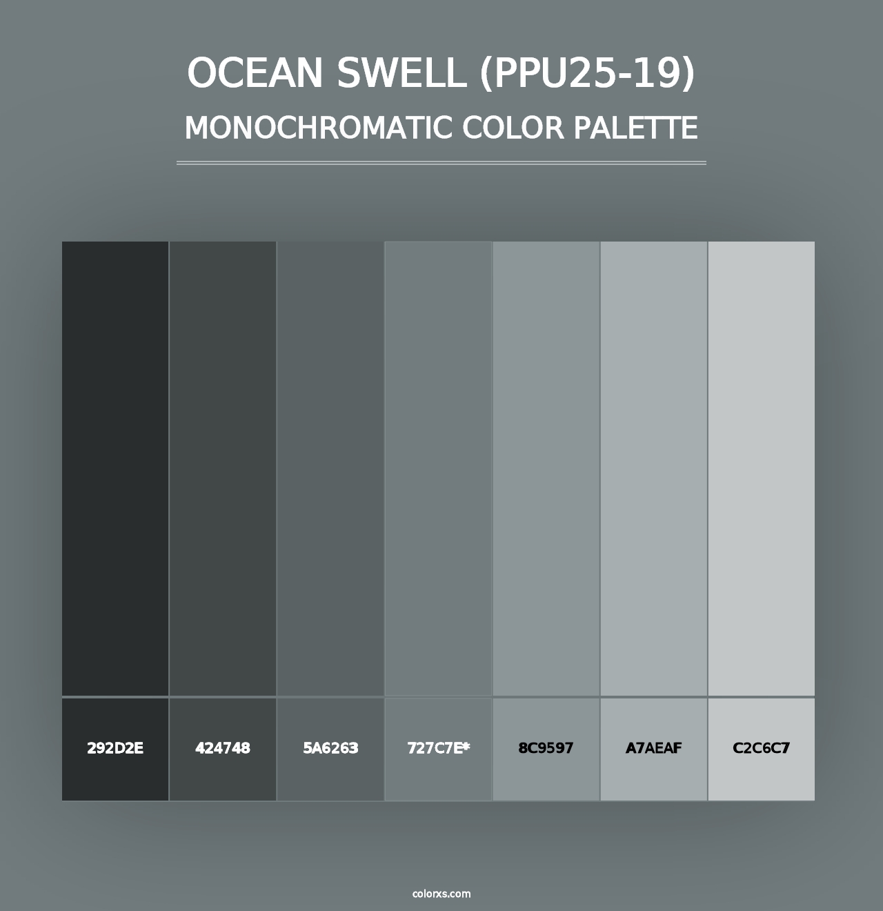 Ocean Swell (PPU25-19) - Monochromatic Color Palette