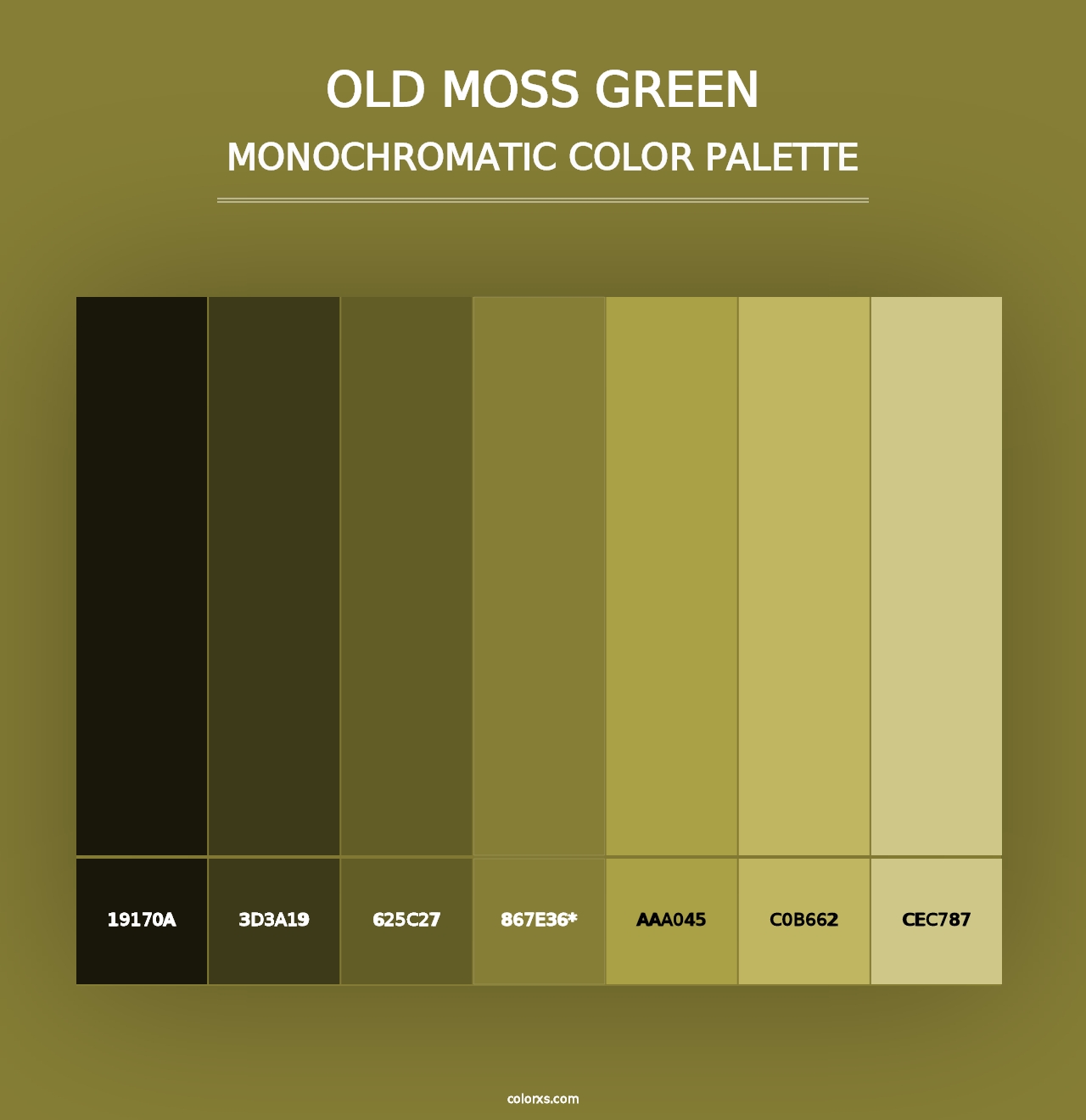 Old Moss Green - Monochromatic Color Palette