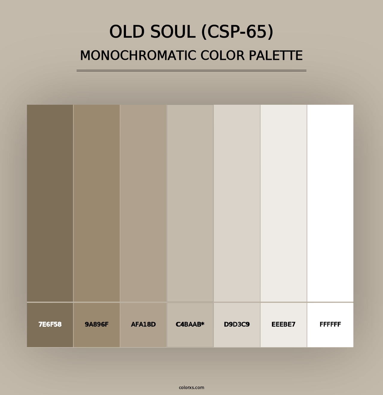 Old Soul (CSP-65) - Monochromatic Color Palette