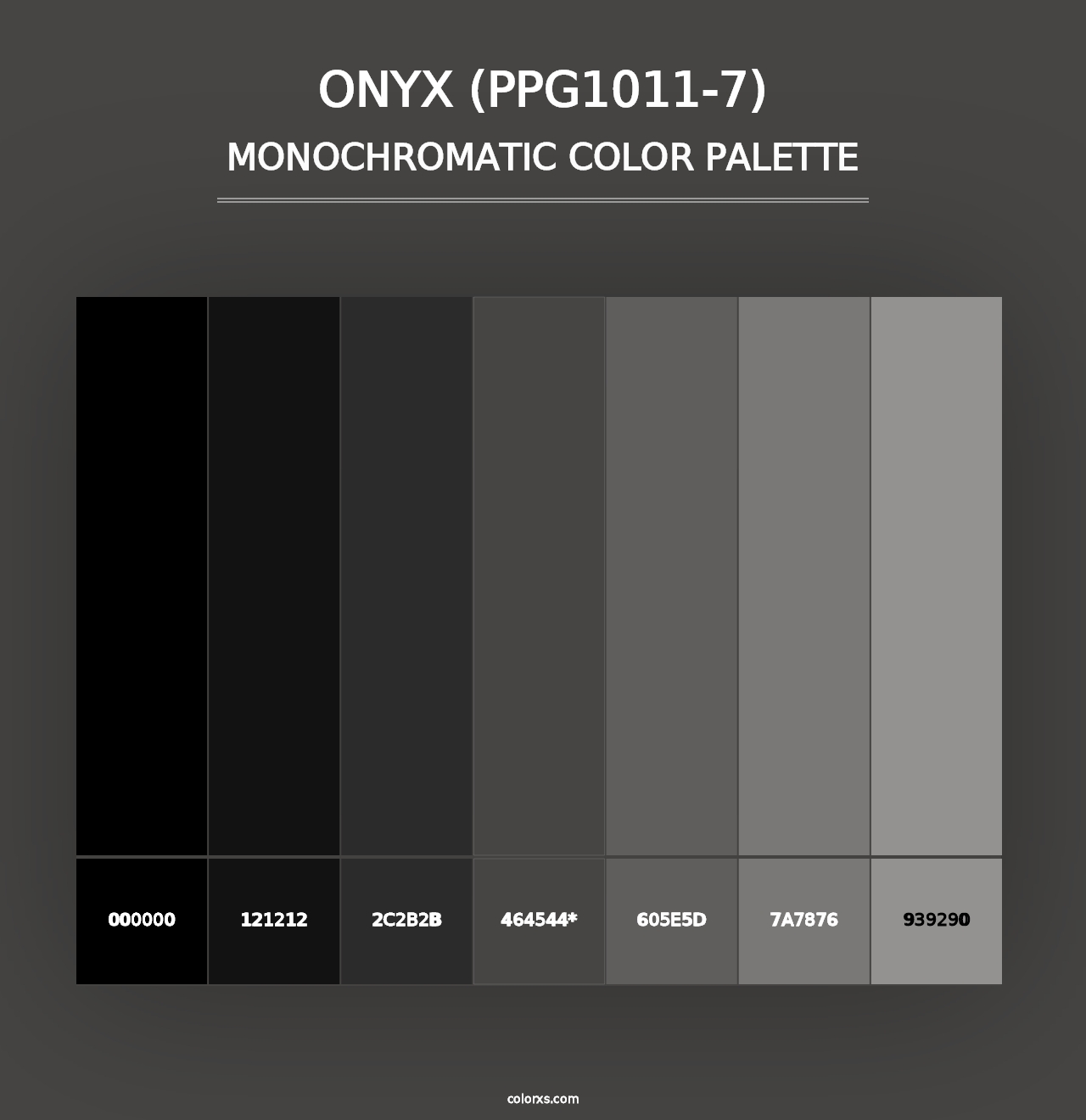 Onyx (PPG1011-7) - Monochromatic Color Palette