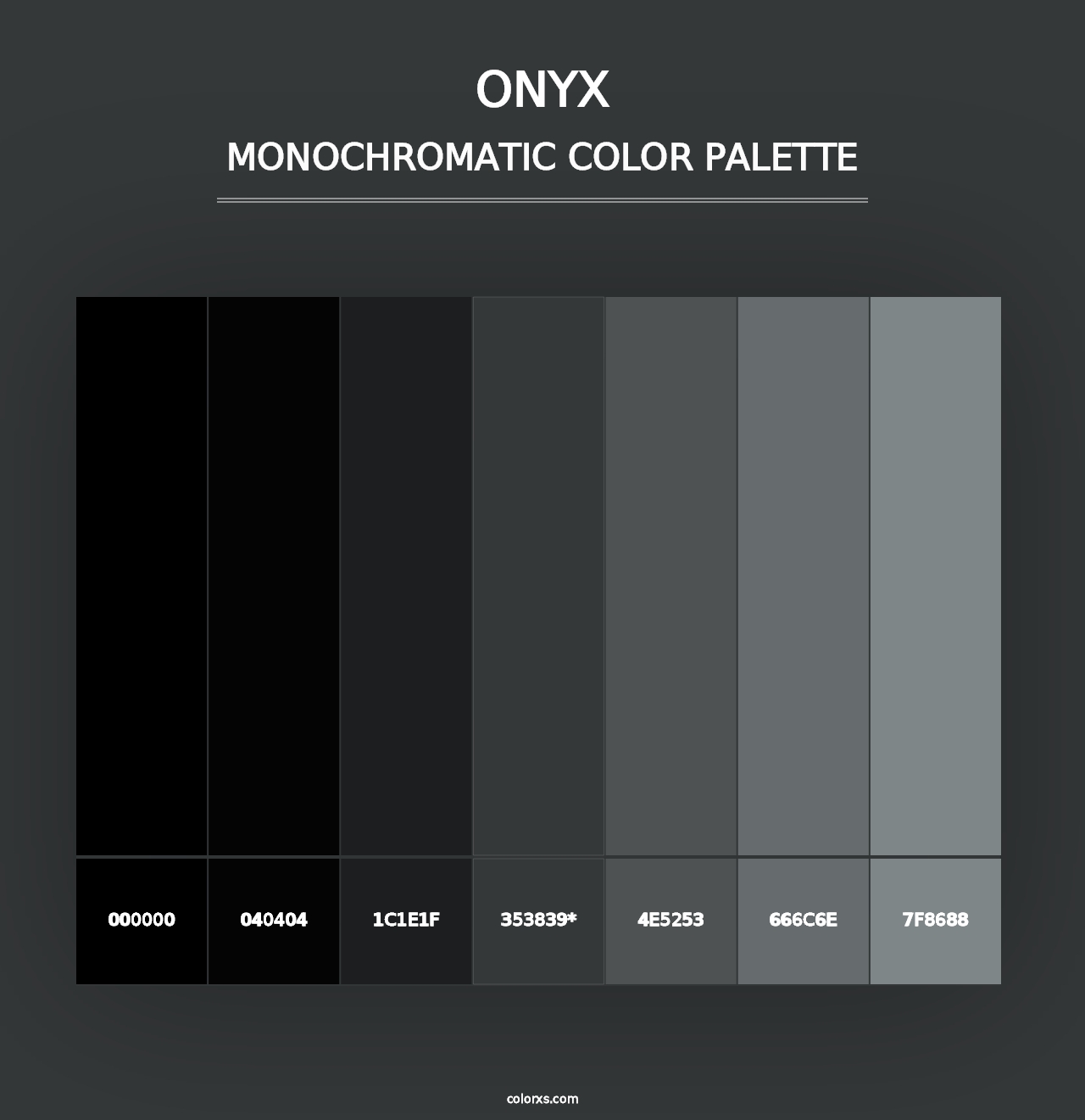 Onyx - Monochromatic Color Palette