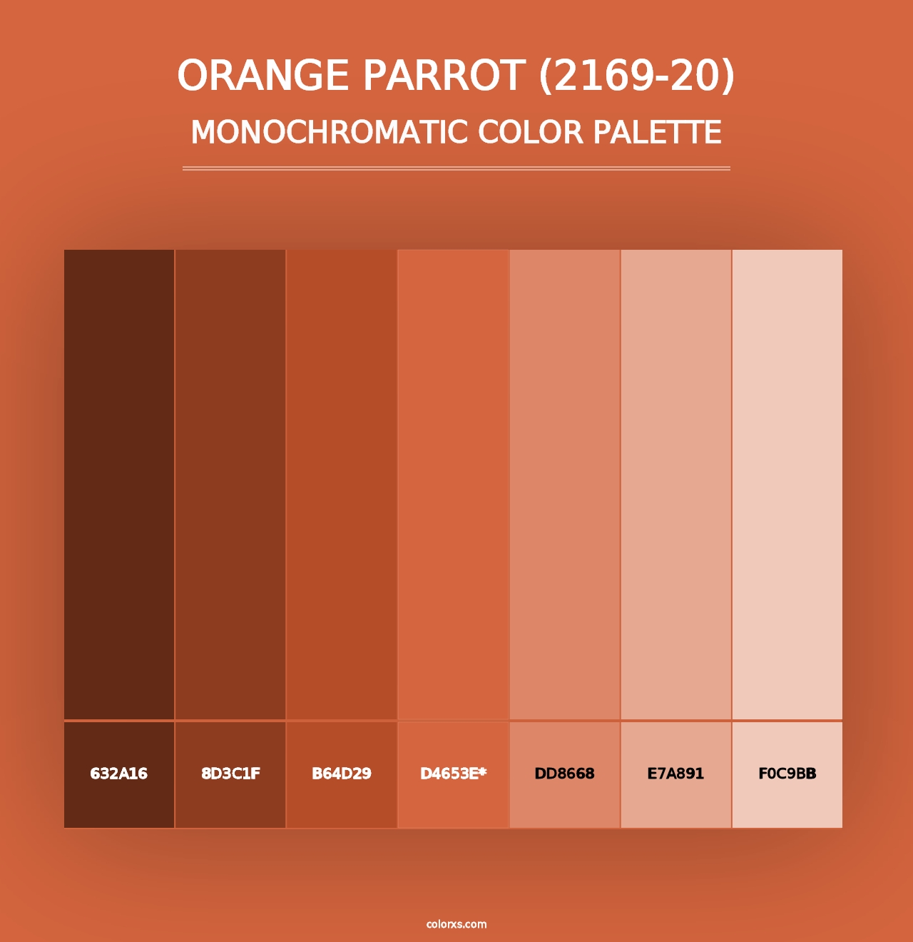 Orange Parrot (2169-20) - Monochromatic Color Palette