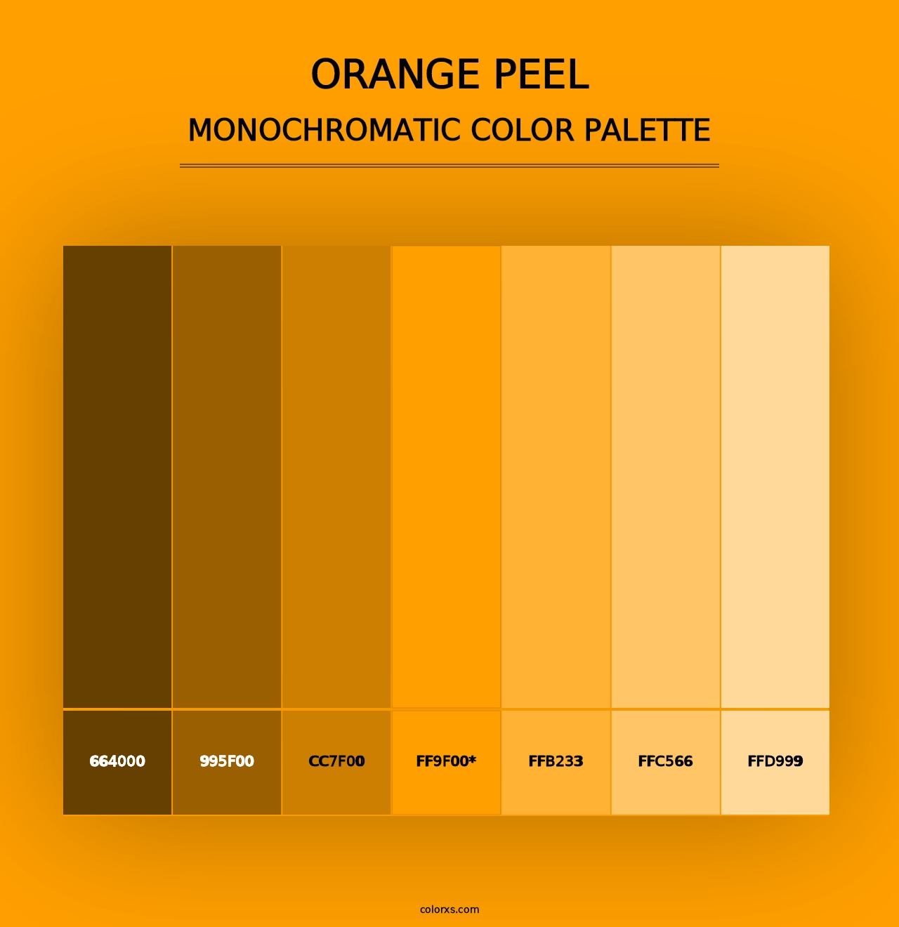 Orange Peel - Monochromatic Color Palette