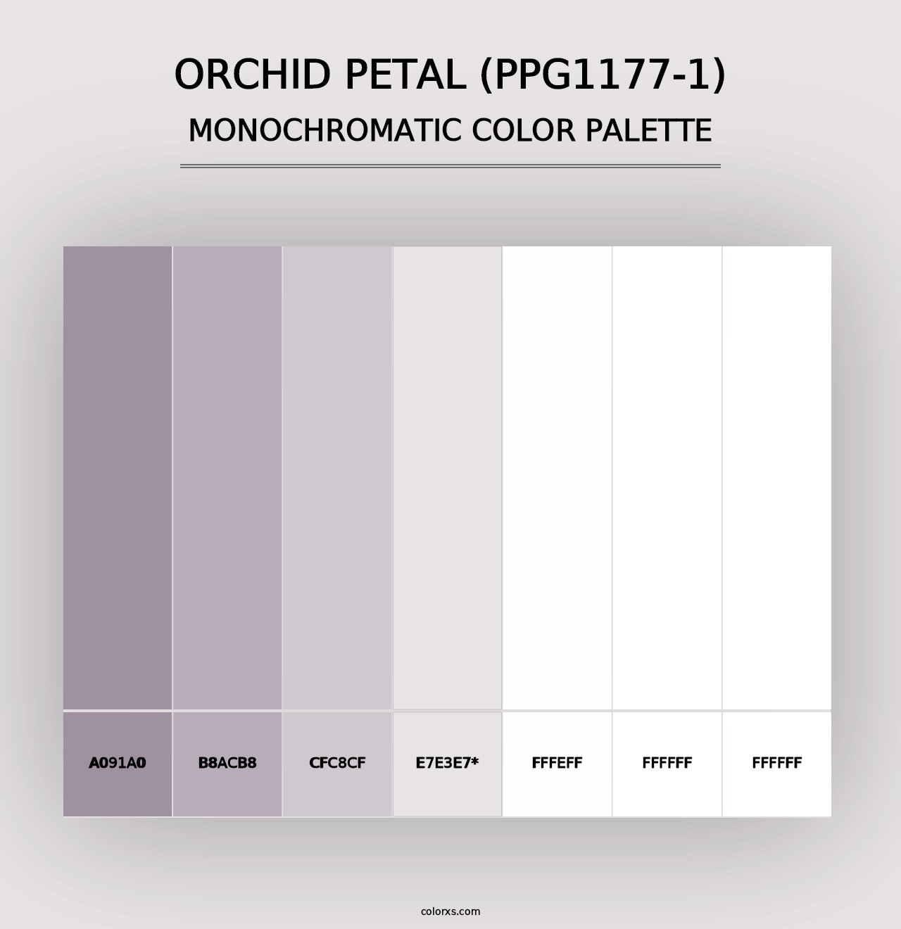 Orchid Petal (PPG1177-1) - Monochromatic Color Palette