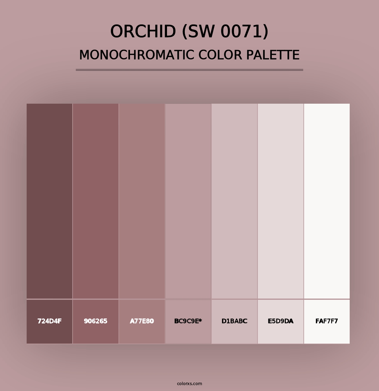 Orchid (SW 0071) - Monochromatic Color Palette