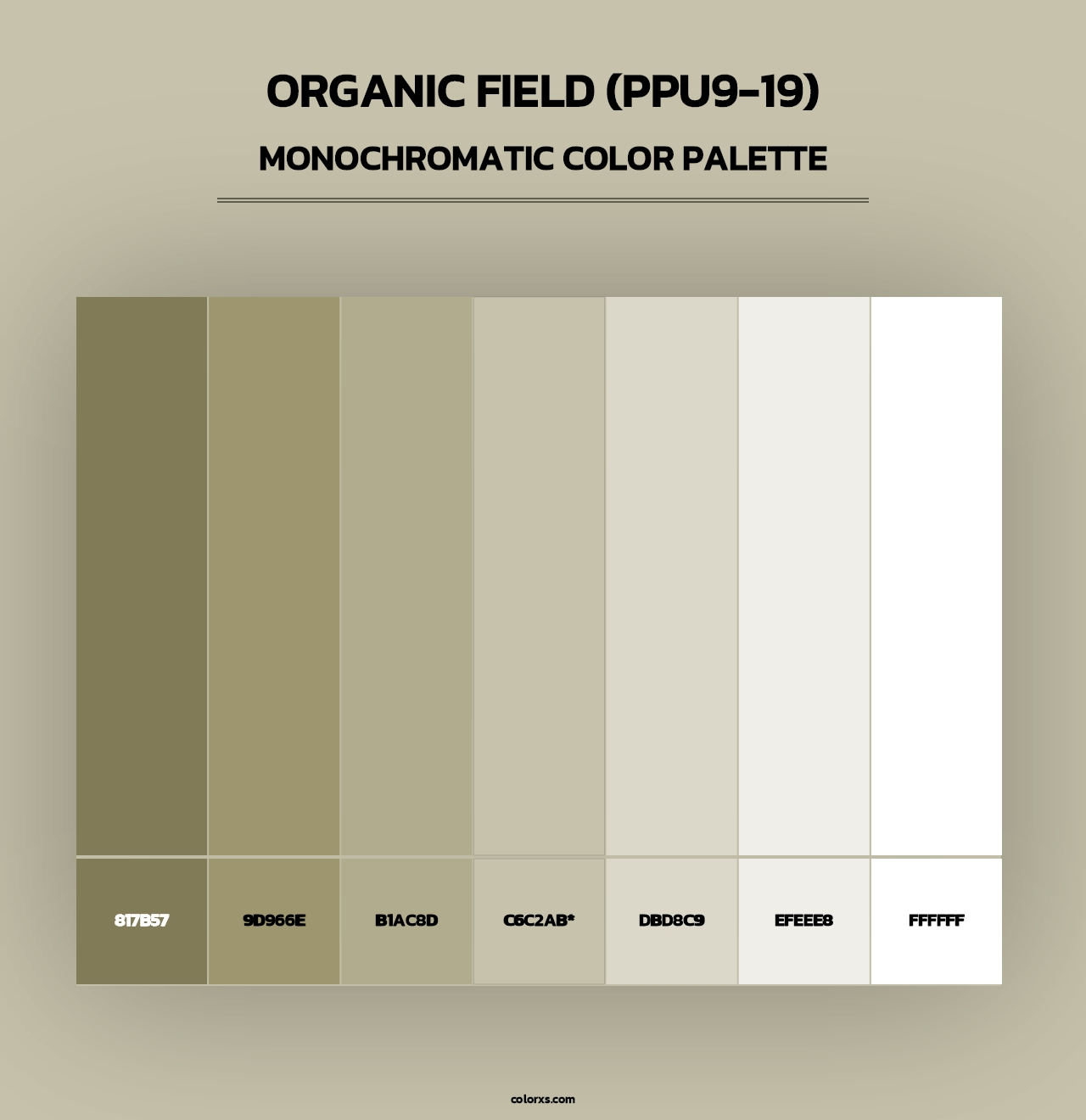 Organic Field (PPU9-19) - Monochromatic Color Palette