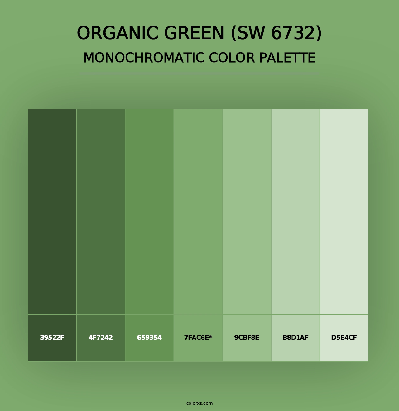 Organic Green (SW 6732) - Monochromatic Color Palette