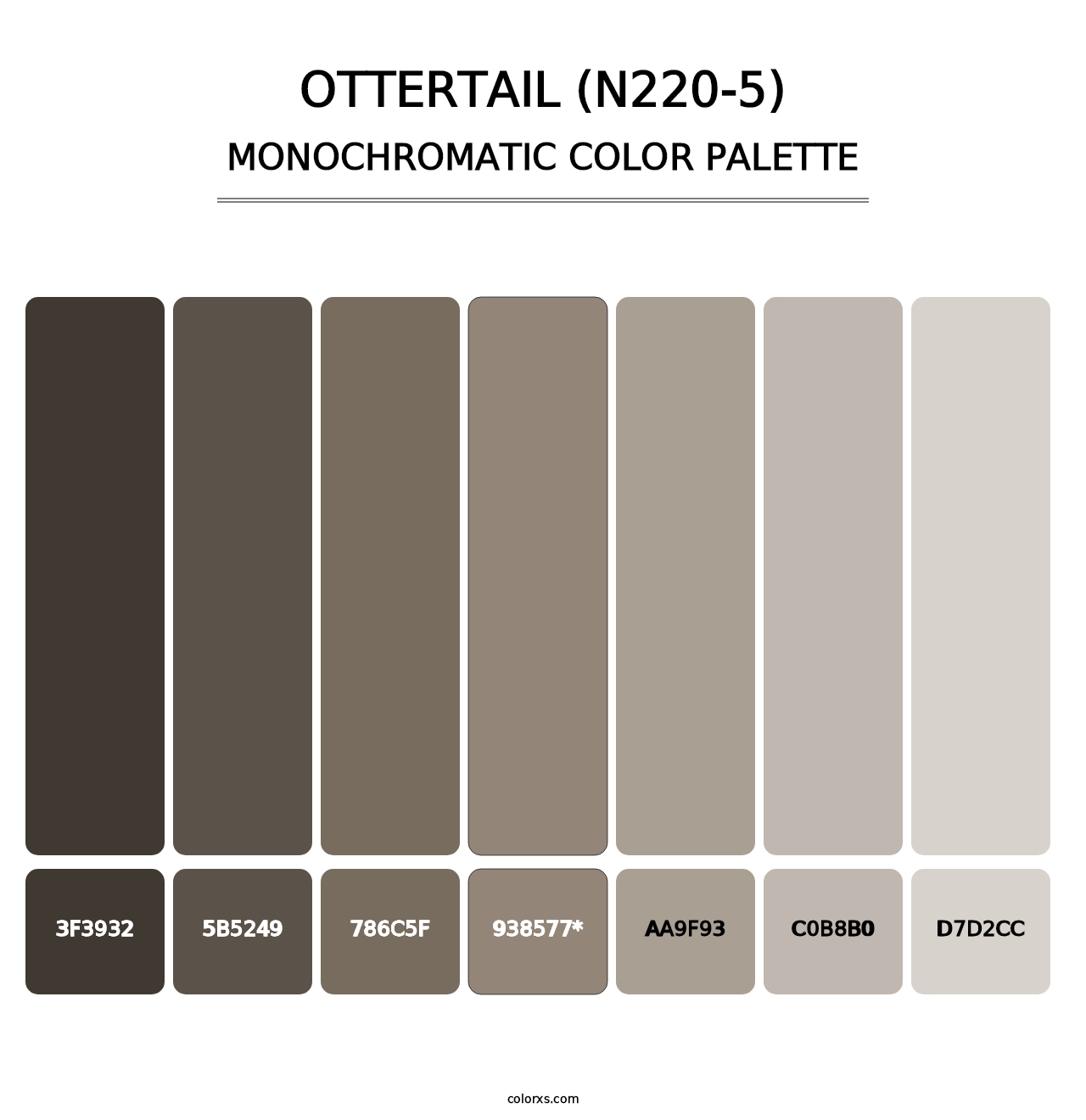 Ottertail (N220-5) - Monochromatic Color Palette