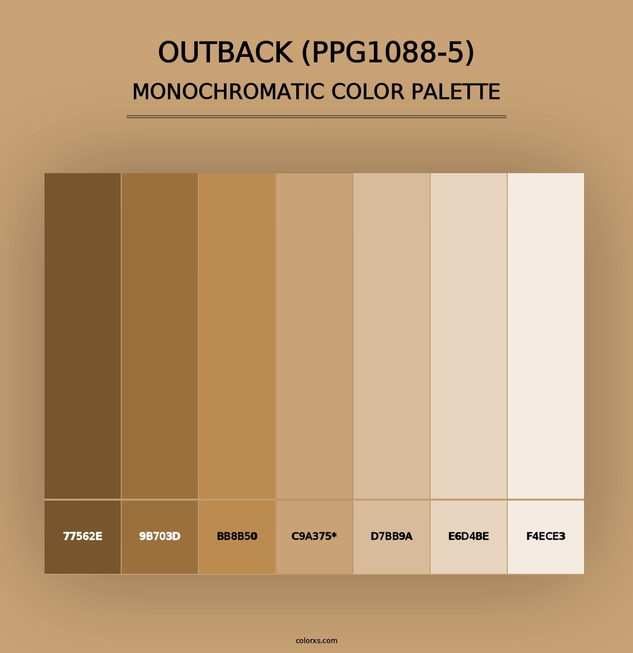 Outback (PPG1088-5) - Monochromatic Color Palette