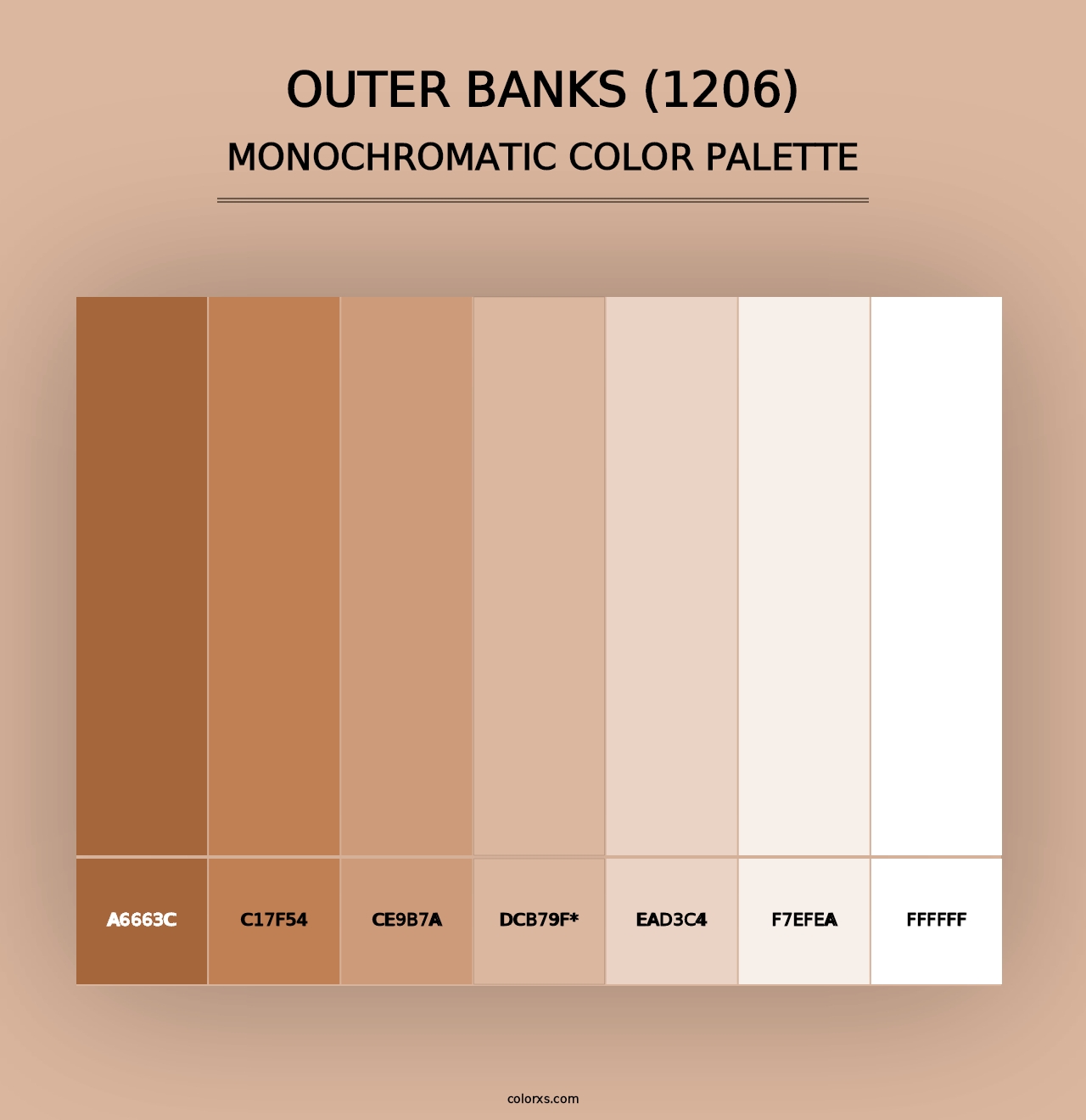 Outer Banks (1206) - Monochromatic Color Palette