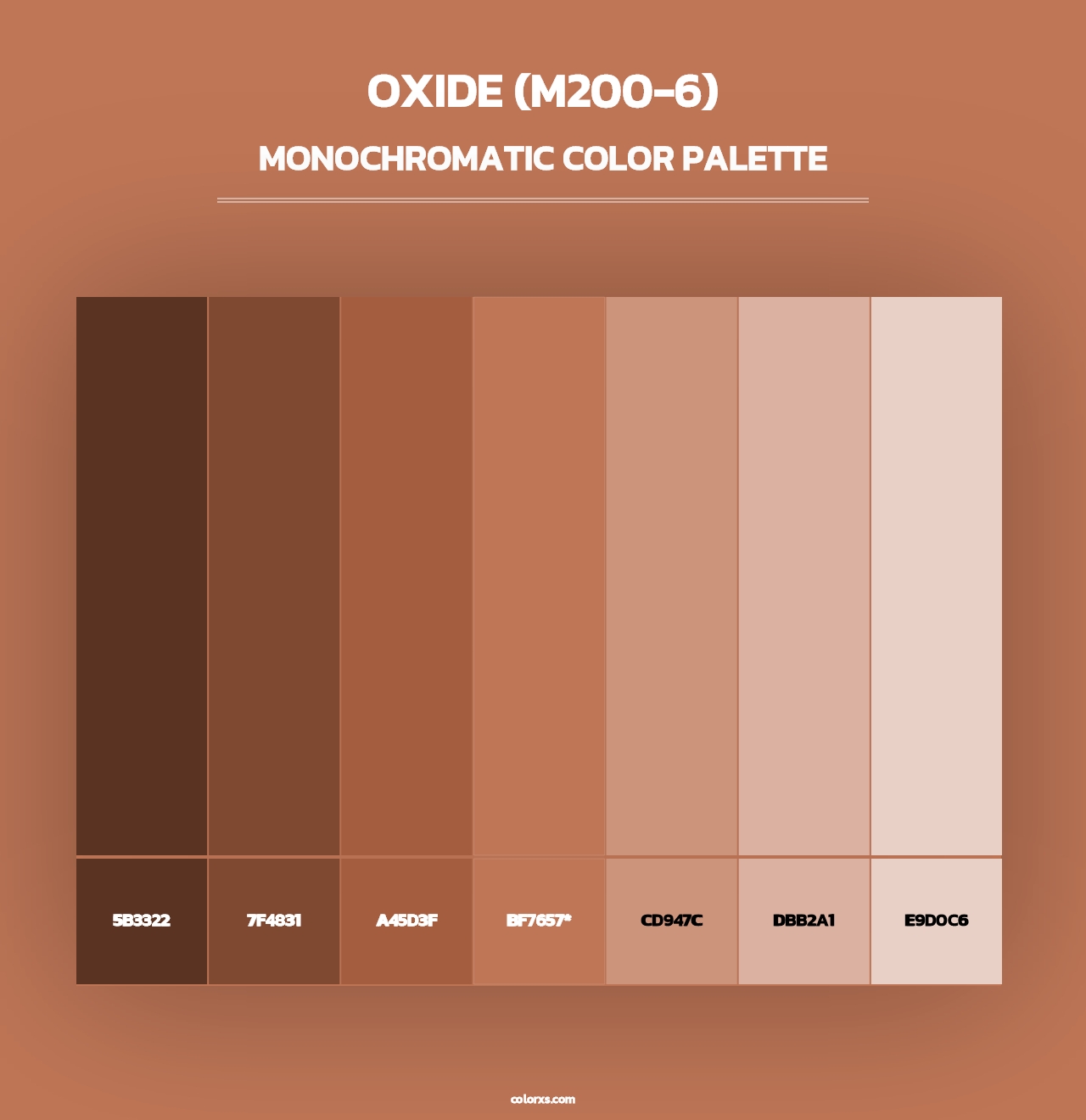 Oxide (M200-6) - Monochromatic Color Palette