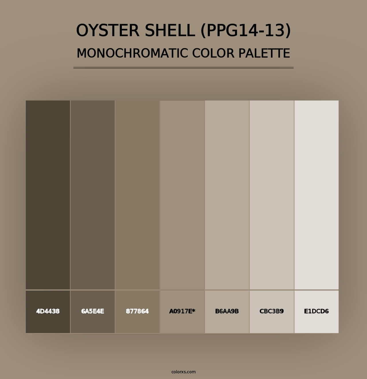 Oyster Shell (PPG14-13) - Monochromatic Color Palette