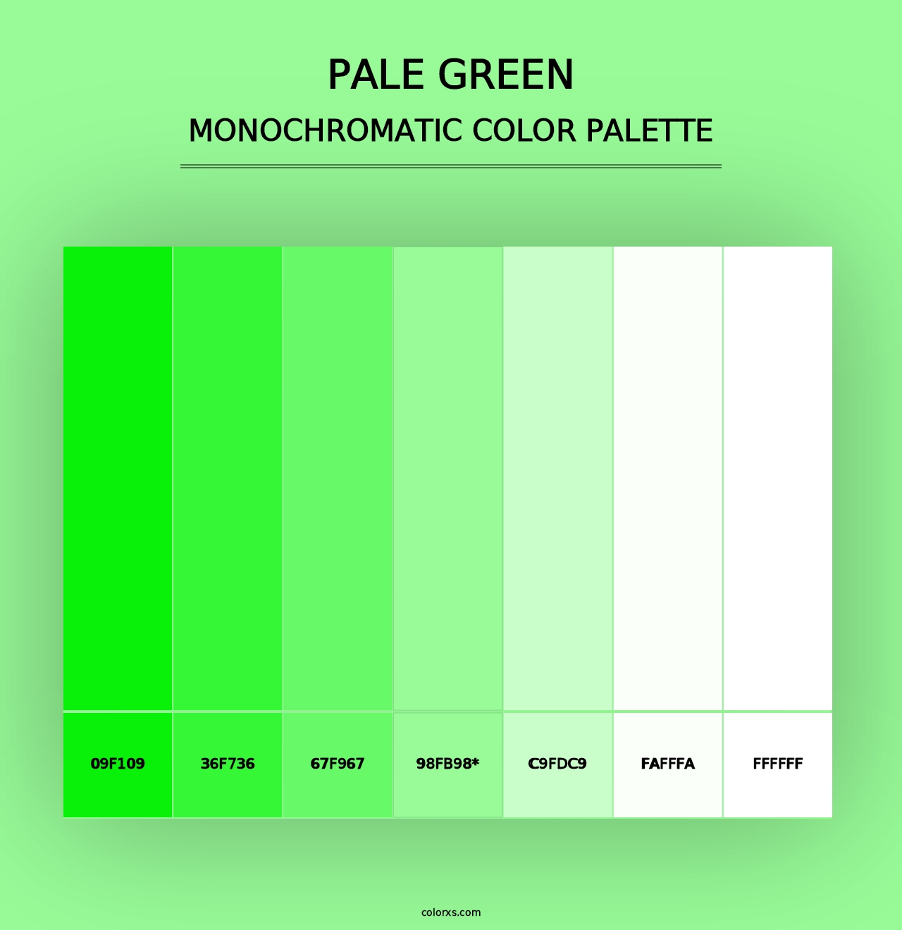 Pale Green - Monochromatic Color Palette