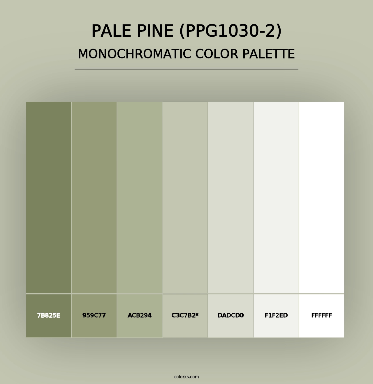 Pale Pine (PPG1030-2) - Monochromatic Color Palette