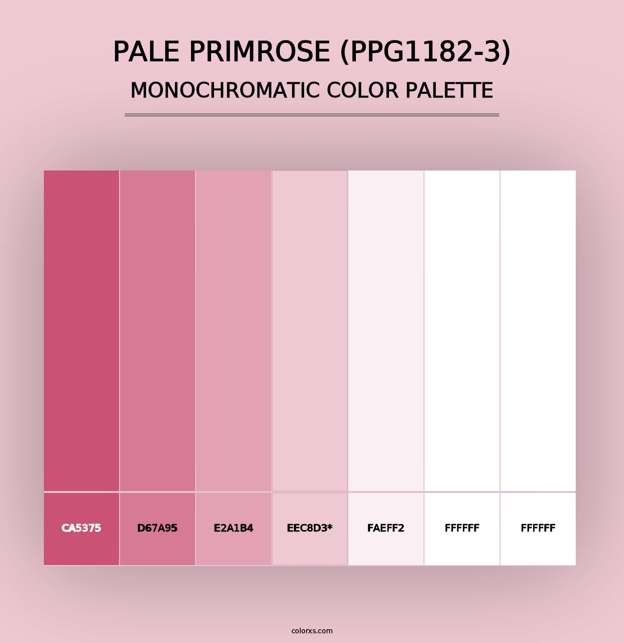 Pale Primrose (PPG1182-3) - Monochromatic Color Palette