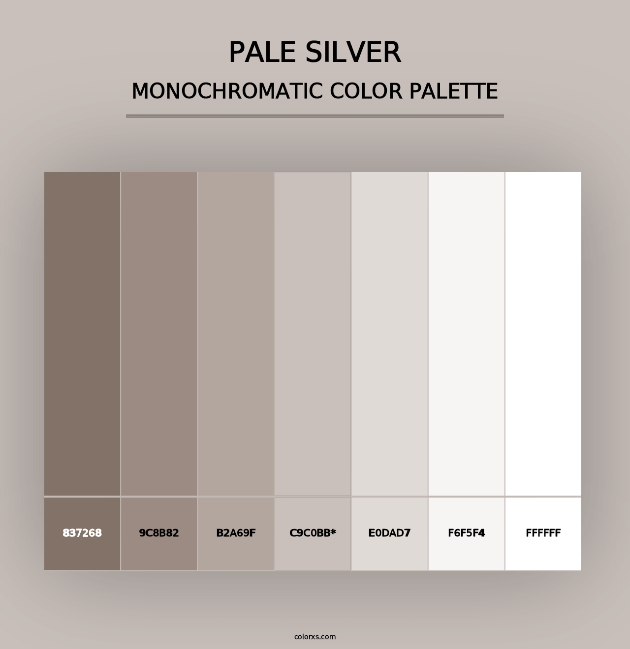 Pale Silver - Monochromatic Color Palette