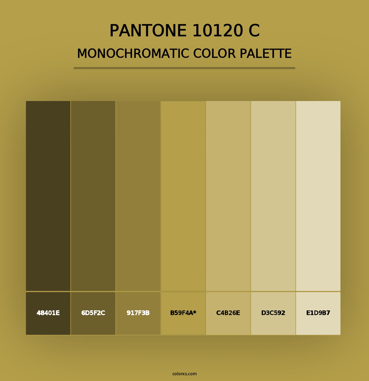 PANTONE 10120 C - Monochromatic Color Palette