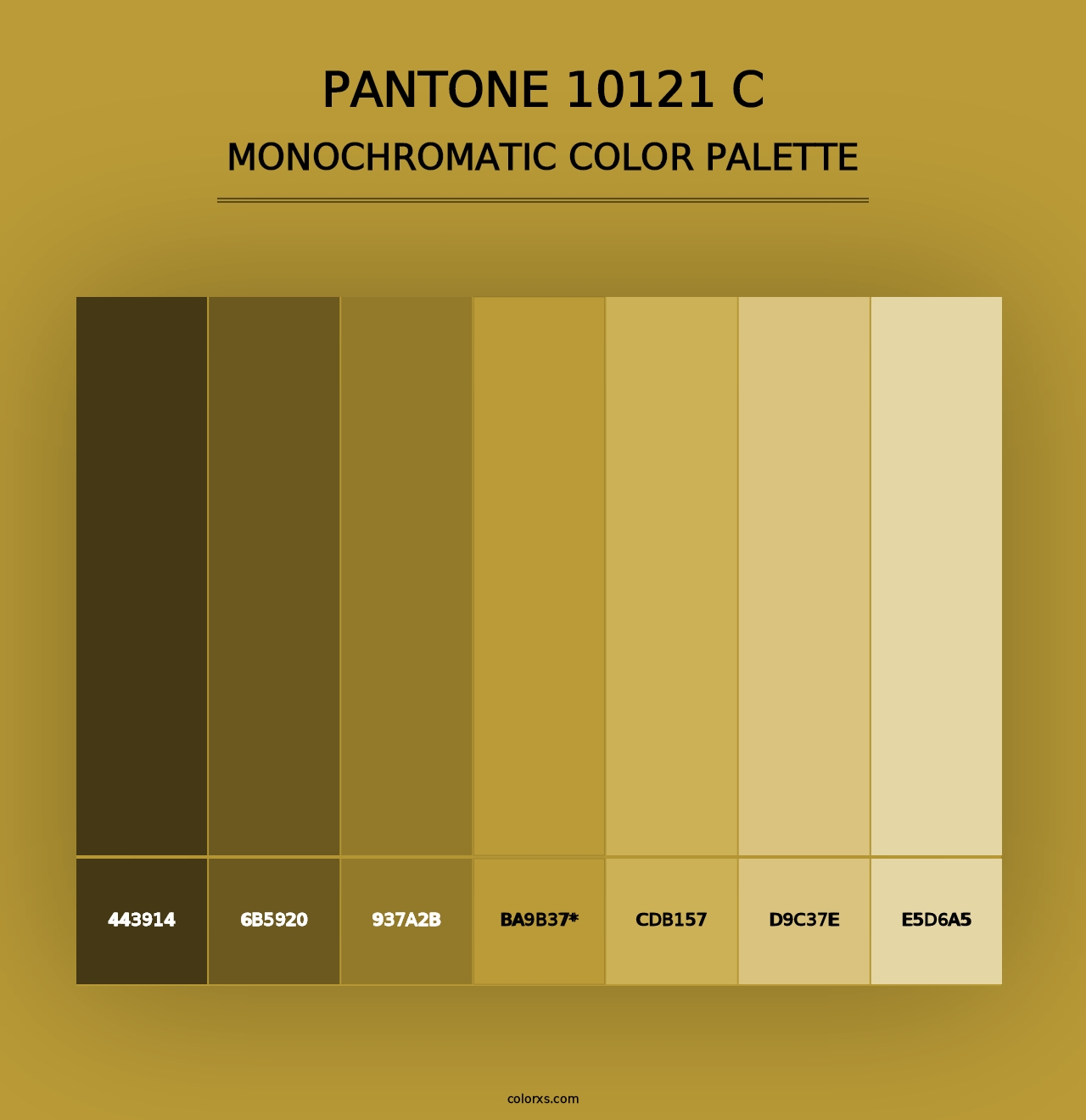 PANTONE 10121 C - Monochromatic Color Palette