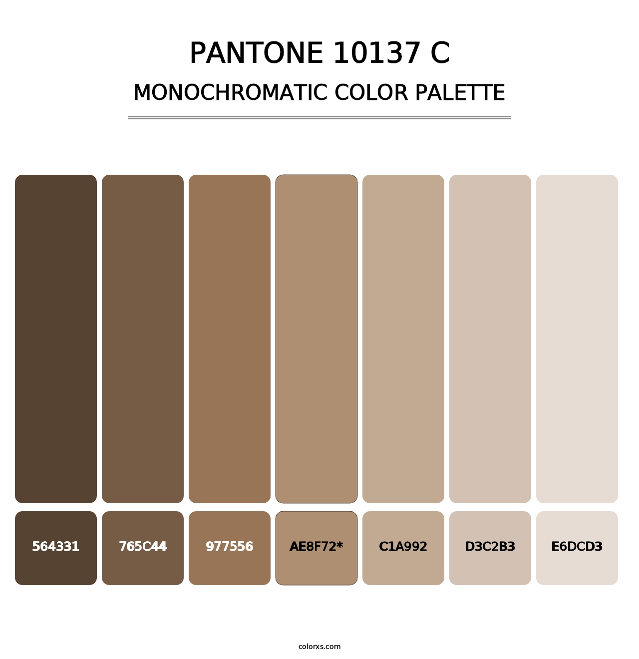 PANTONE 10137 C - Monochromatic Color Palette