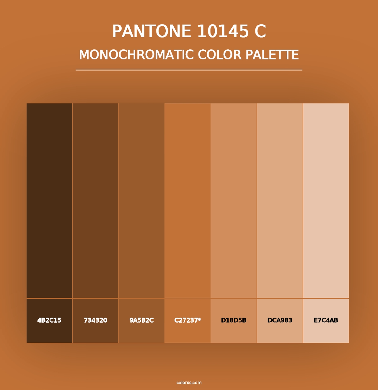 PANTONE 10145 C - Monochromatic Color Palette