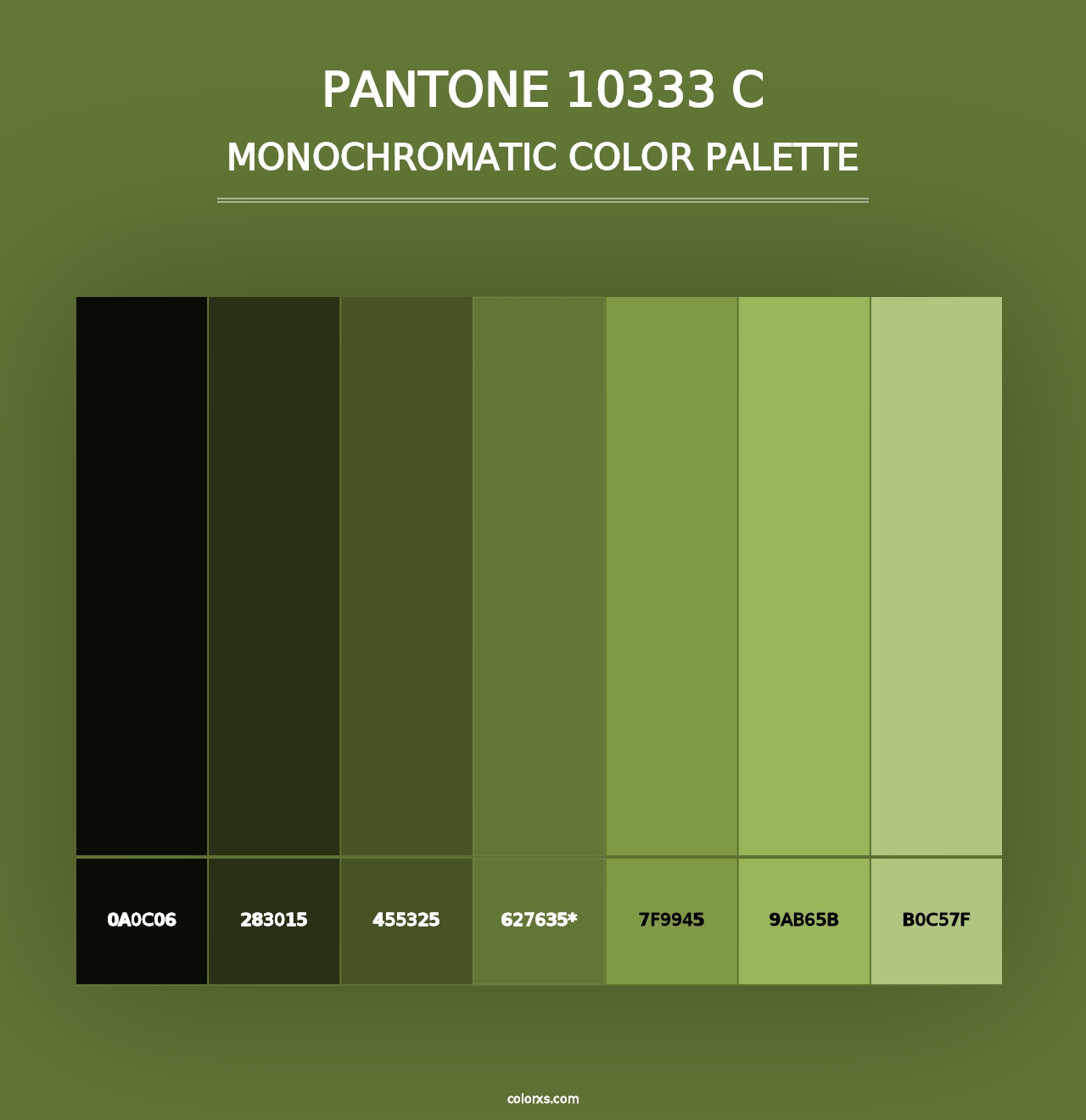 PANTONE 10333 C - Monochromatic Color Palette