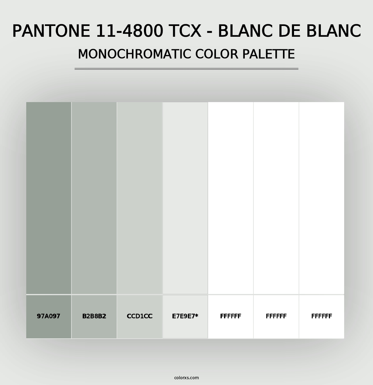 PANTONE 11-4800 TCX - Blanc de Blanc - Monochromatic Color Palette