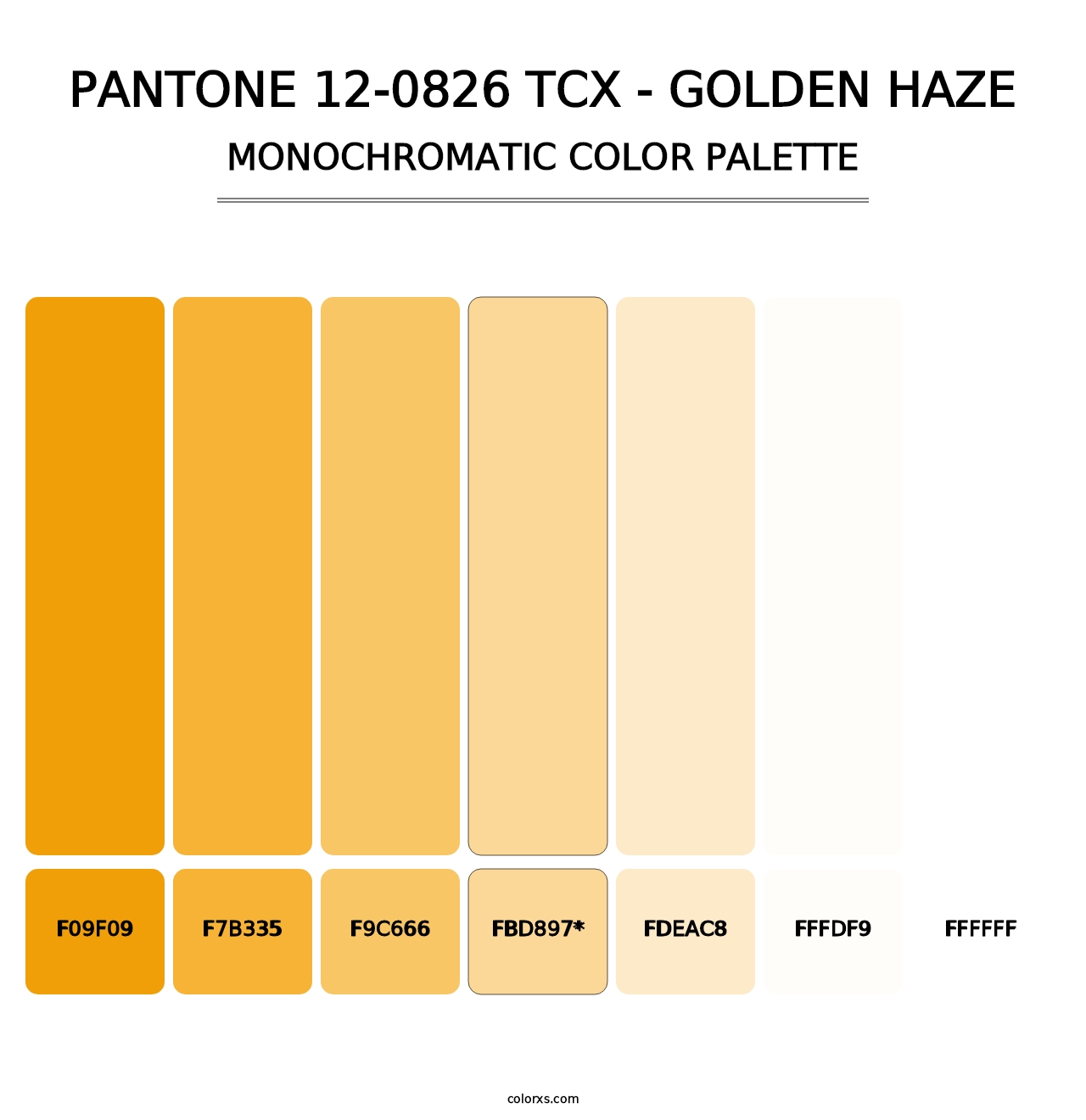 PANTONE 12-0826 TCX - Golden Haze - Monochromatic Color Palette