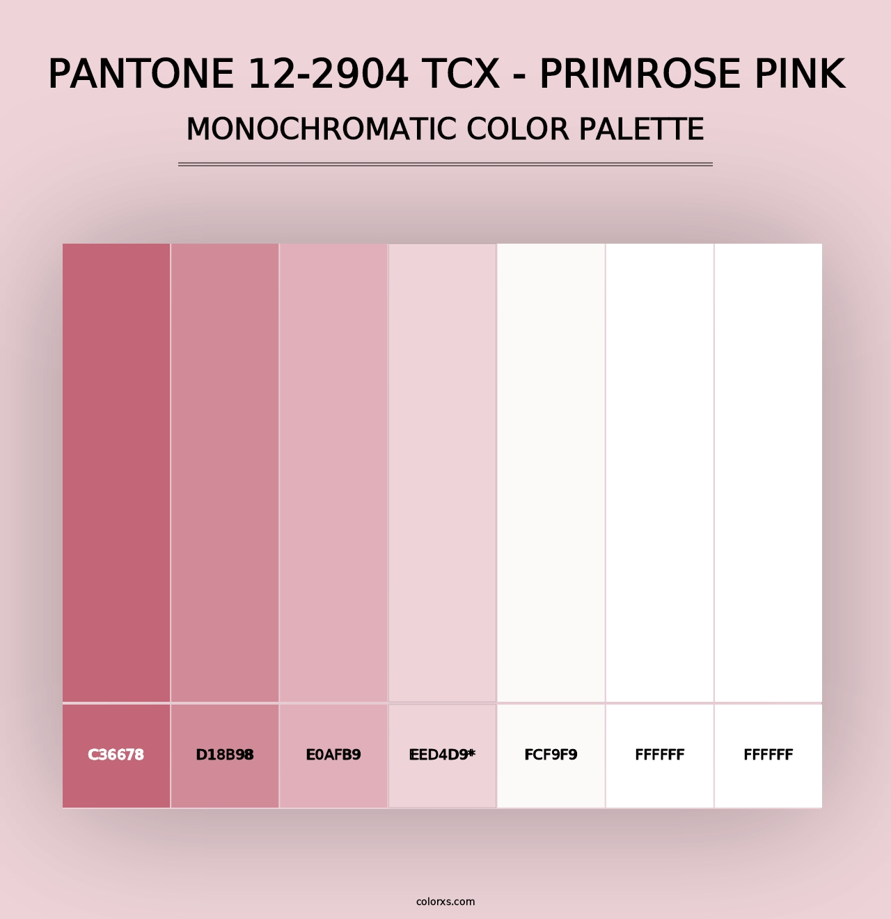 PANTONE 12-2904 TCX - Primrose Pink - Monochromatic Color Palette