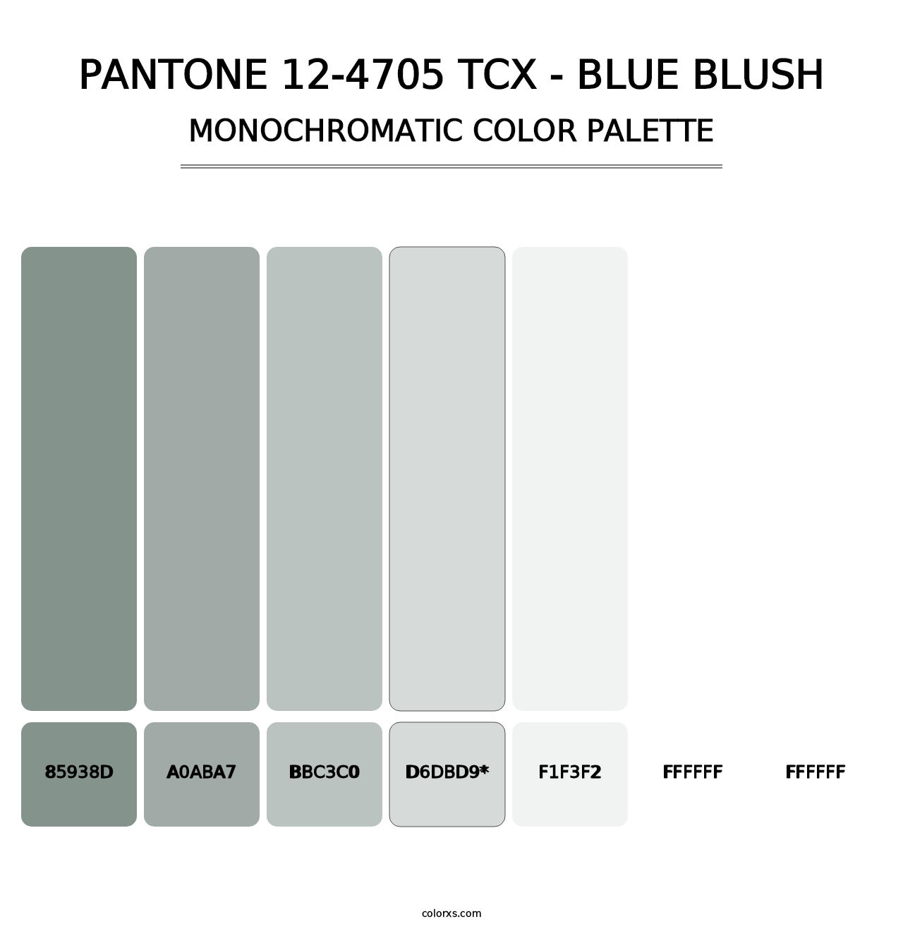 PANTONE 12-4705 TCX - Blue Blush - Monochromatic Color Palette