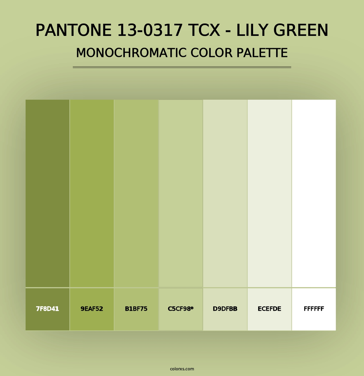 PANTONE 13-0317 TCX - Lily Green - Monochromatic Color Palette