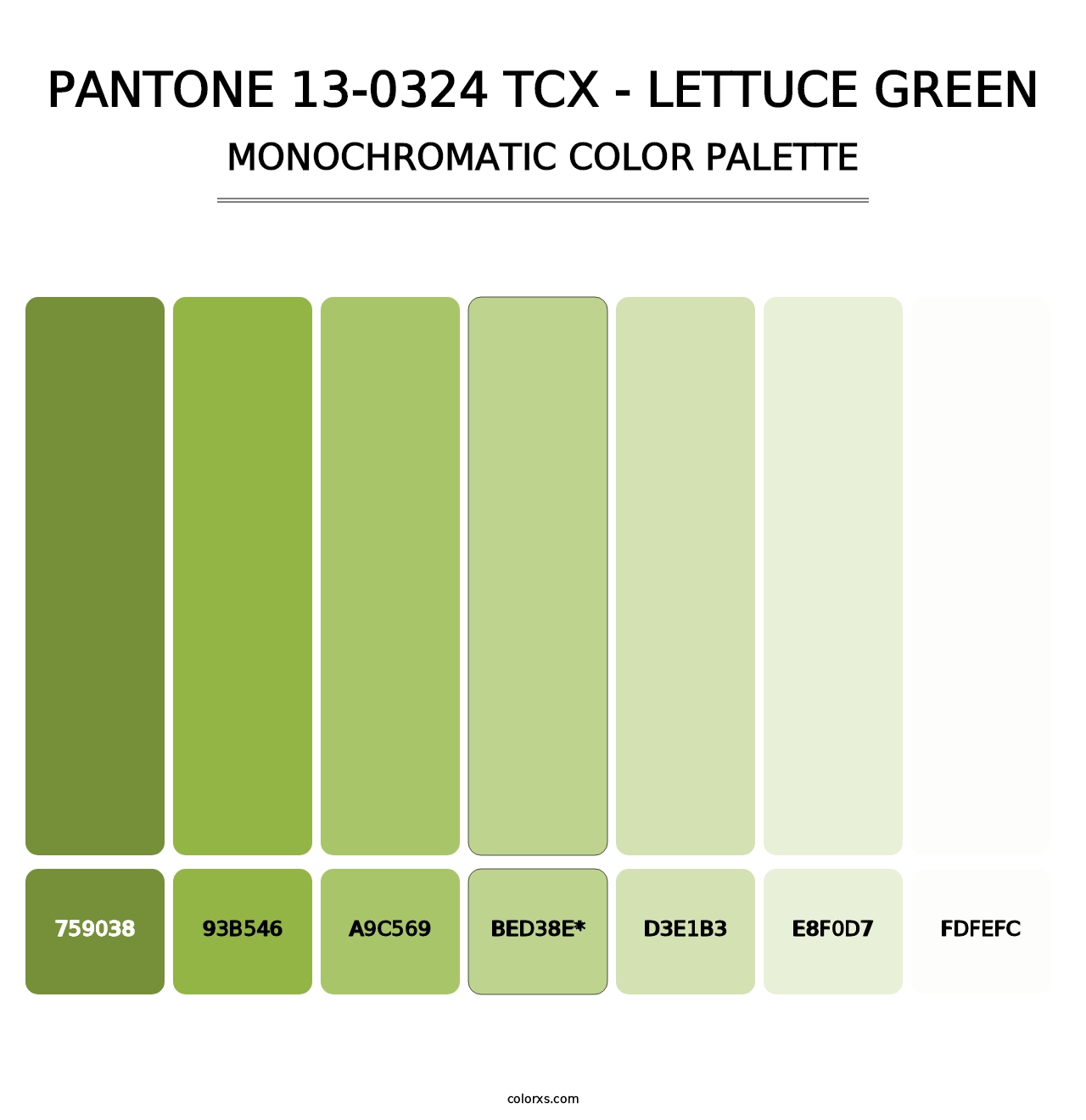 PANTONE 13-0324 TCX - Lettuce Green - Monochromatic Color Palette