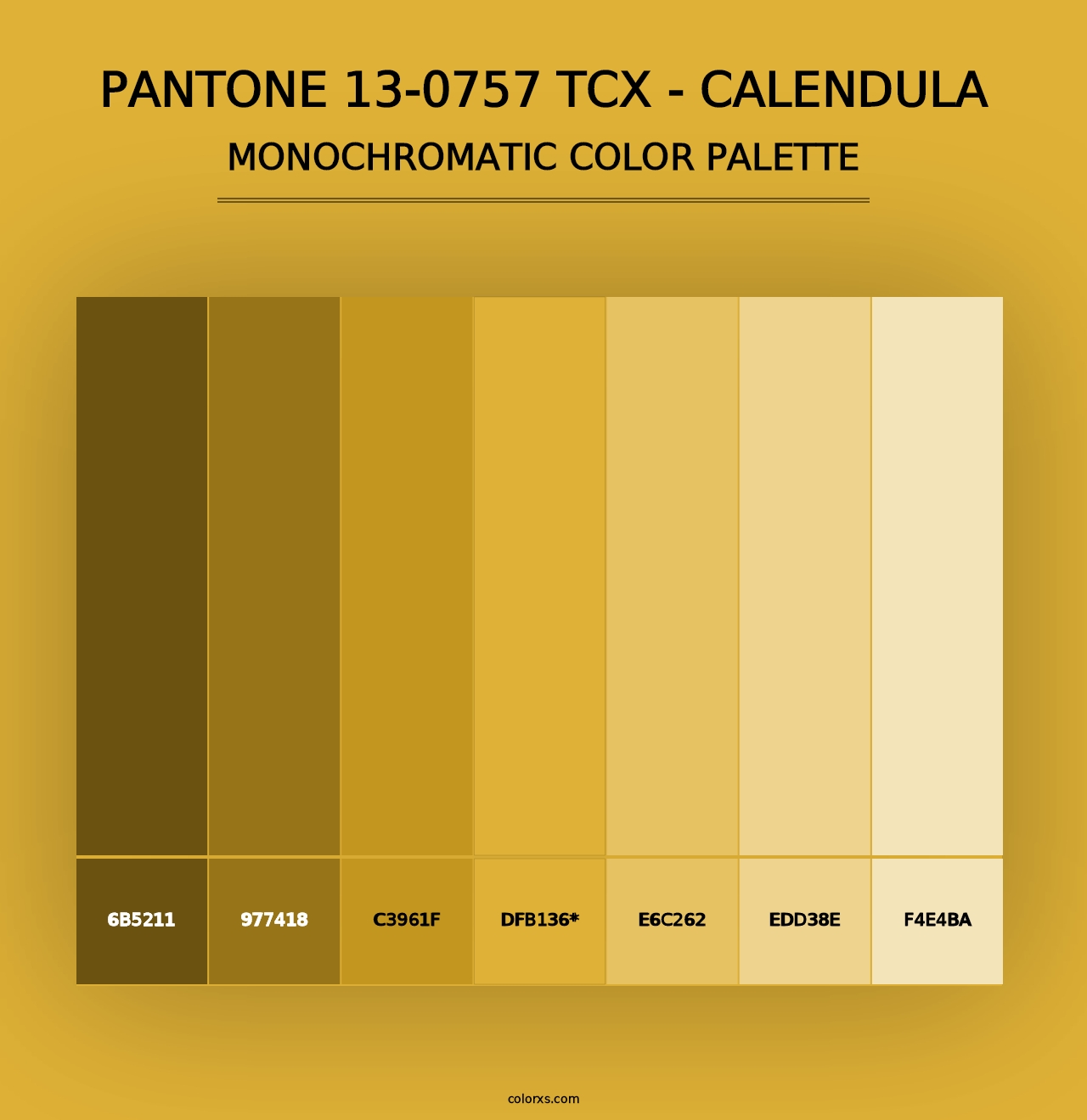 PANTONE 13-0757 TCX - Calendula - Monochromatic Color Palette