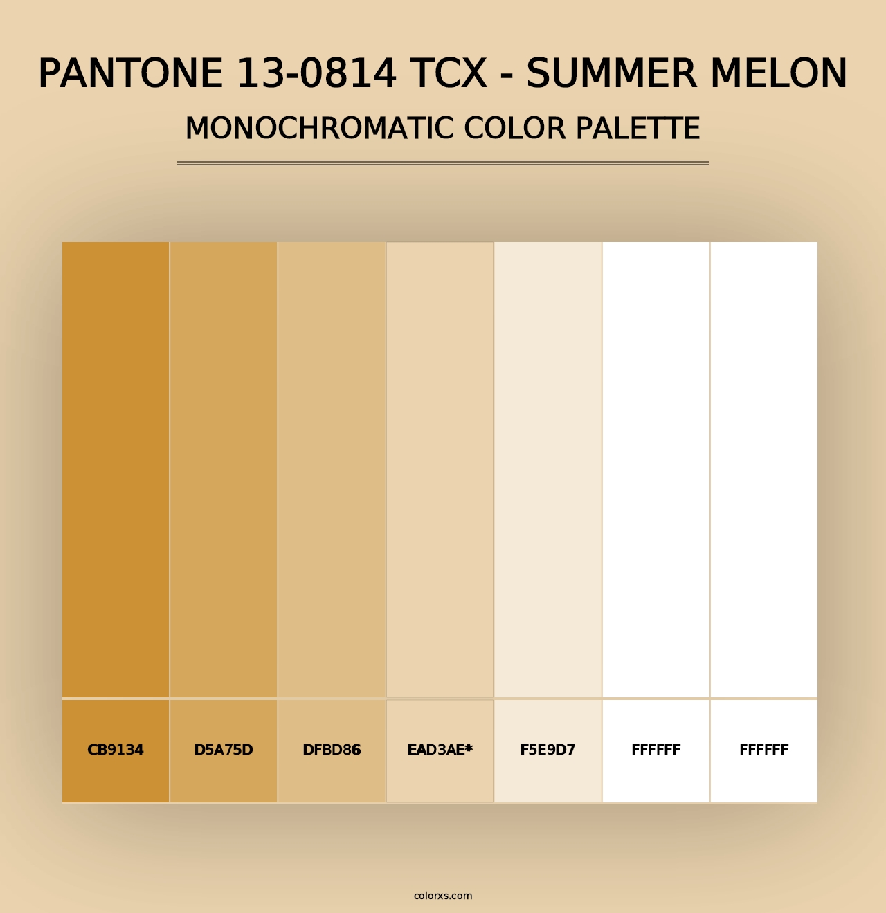 PANTONE 13-0814 TCX - Summer Melon - Monochromatic Color Palette