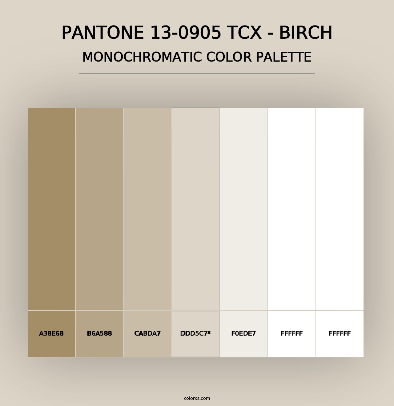 PANTONE 13-0905 TCX - Birch - Monochromatic Color Palette