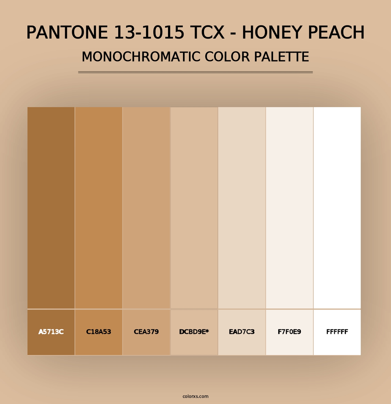 PANTONE 13-1015 TCX - Honey Peach - Monochromatic Color Palette