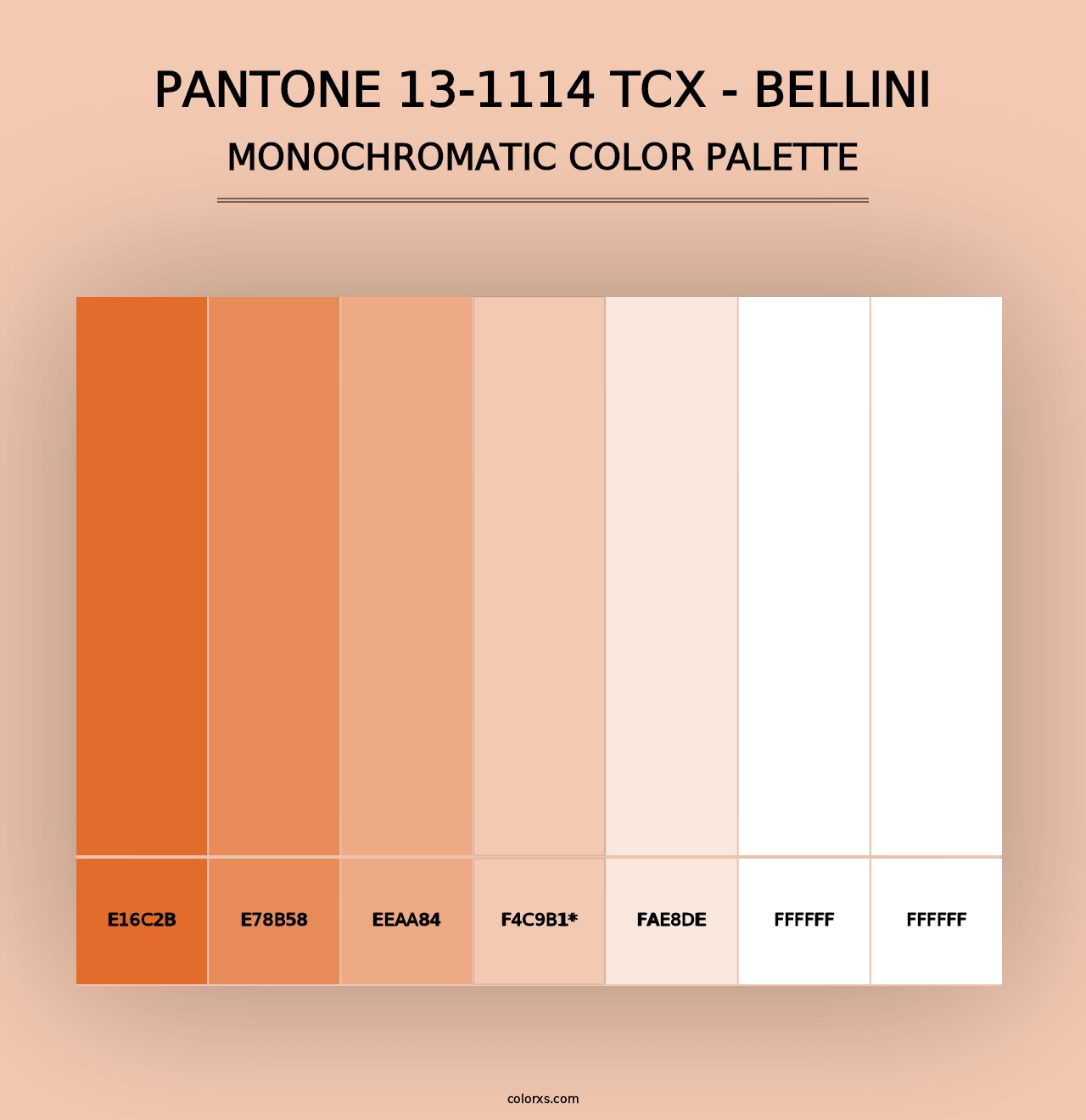 PANTONE 13-1114 TCX - Bellini - Monochromatic Color Palette