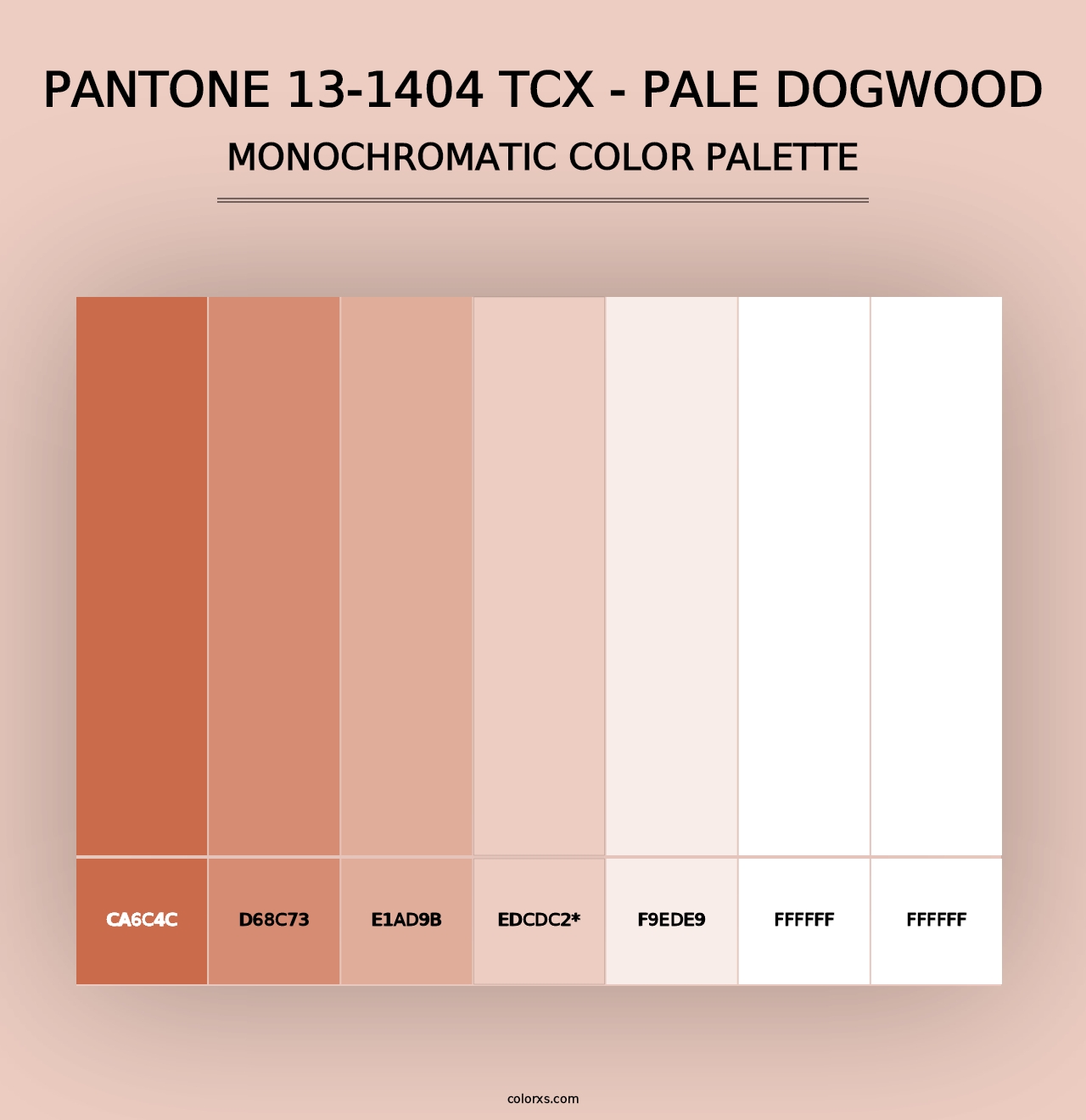 PANTONE 13-1404 TCX - Pale Dogwood - Monochromatic Color Palette