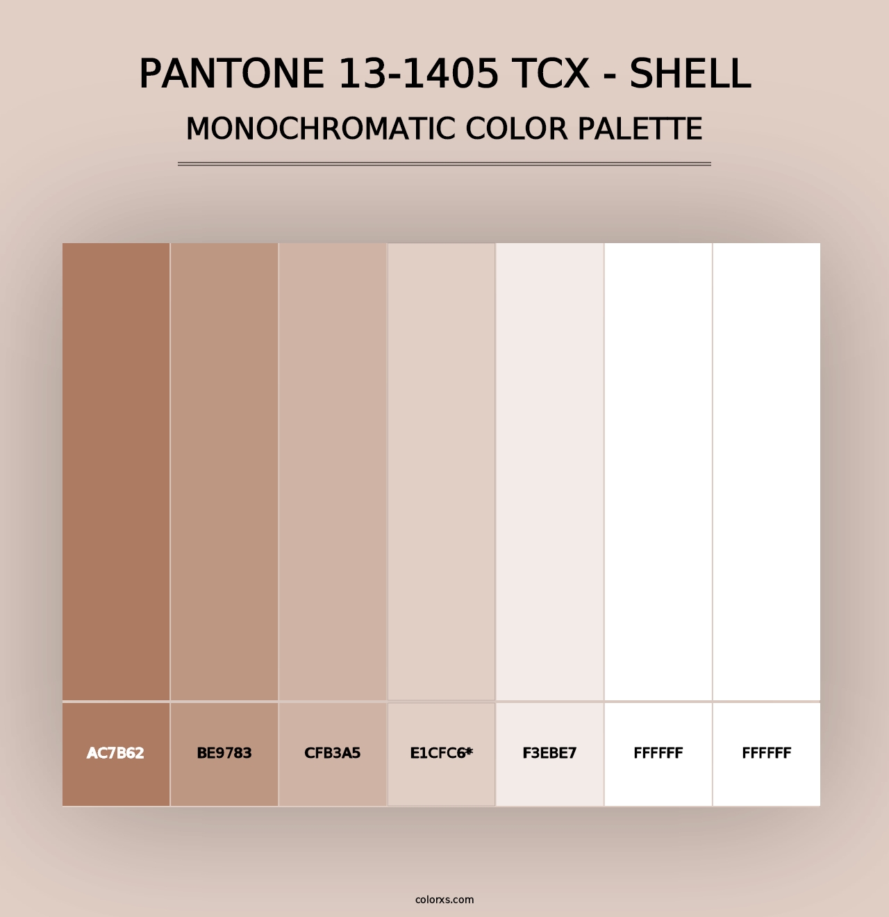 PANTONE 13-1405 TCX - Shell - Monochromatic Color Palette