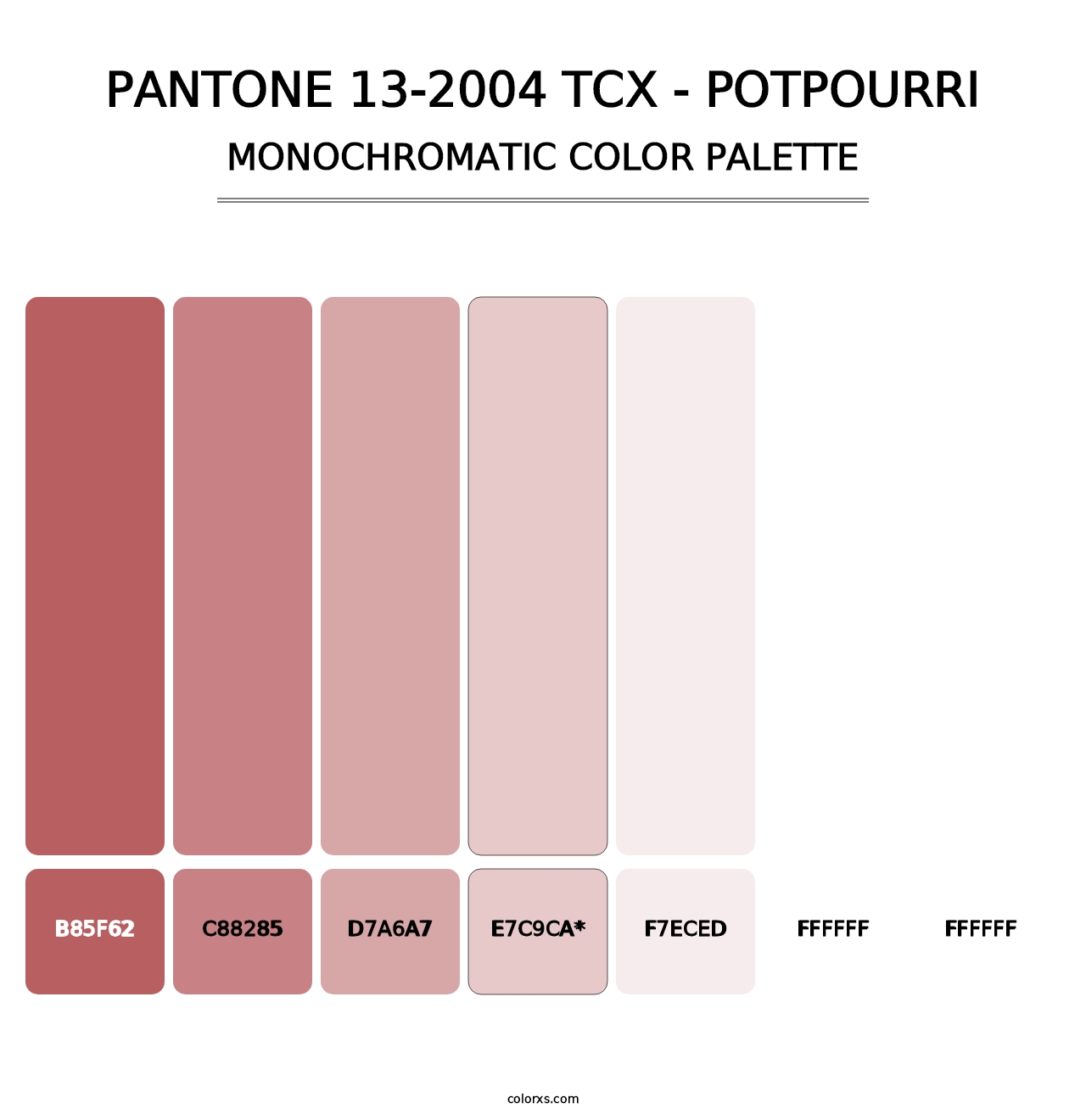 PANTONE 13-2004 TCX - Potpourri - Monochromatic Color Palette