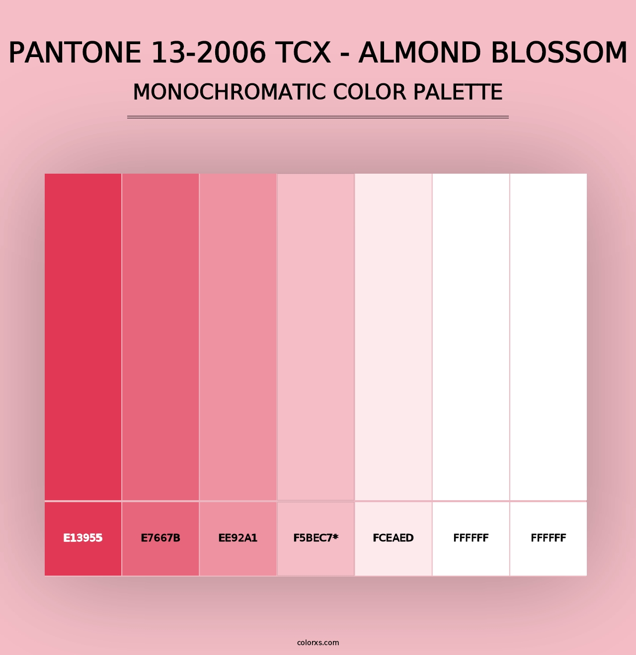 PANTONE 13-2006 TCX - Almond Blossom - Monochromatic Color Palette