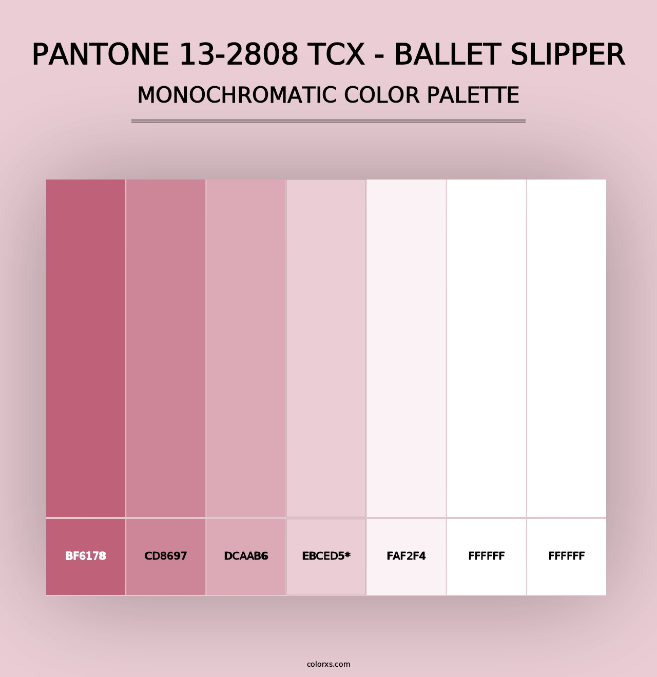 PANTONE 13-2808 TCX - Ballet Slipper - Monochromatic Color Palette