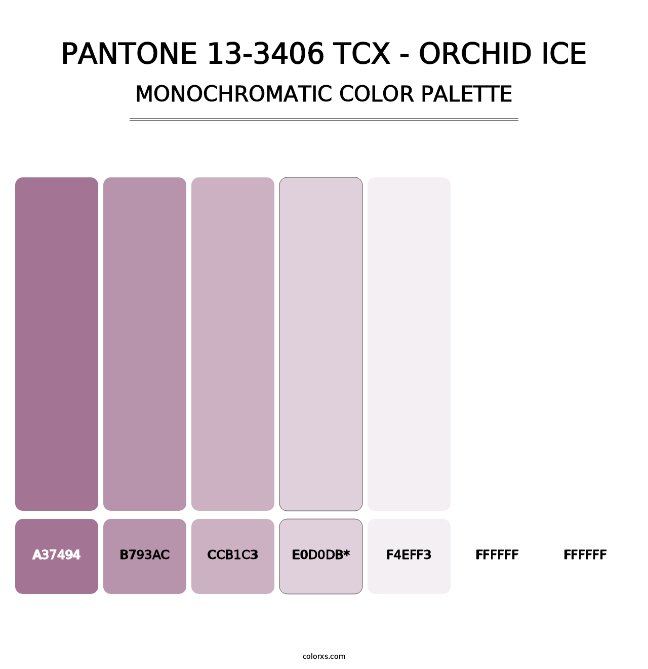 PANTONE 13-3406 TCX - Orchid Ice - Monochromatic Color Palette