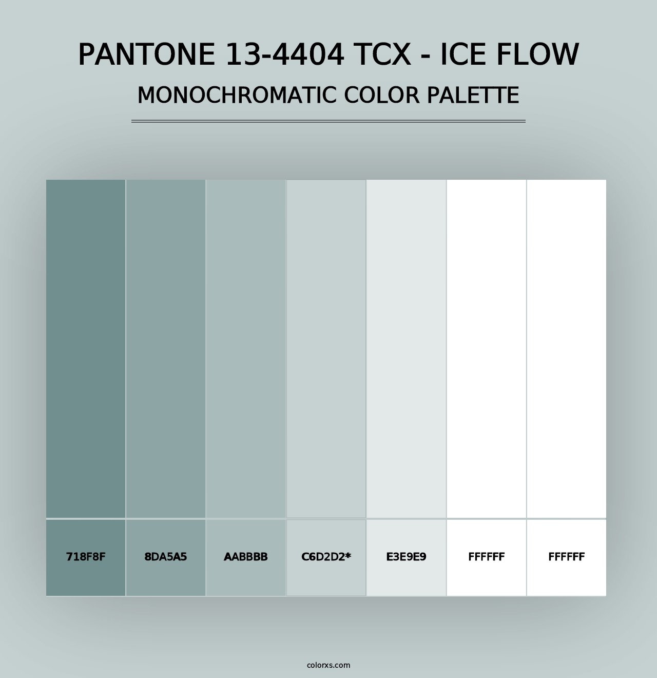 PANTONE 13-4404 TCX - Ice Flow - Monochromatic Color Palette