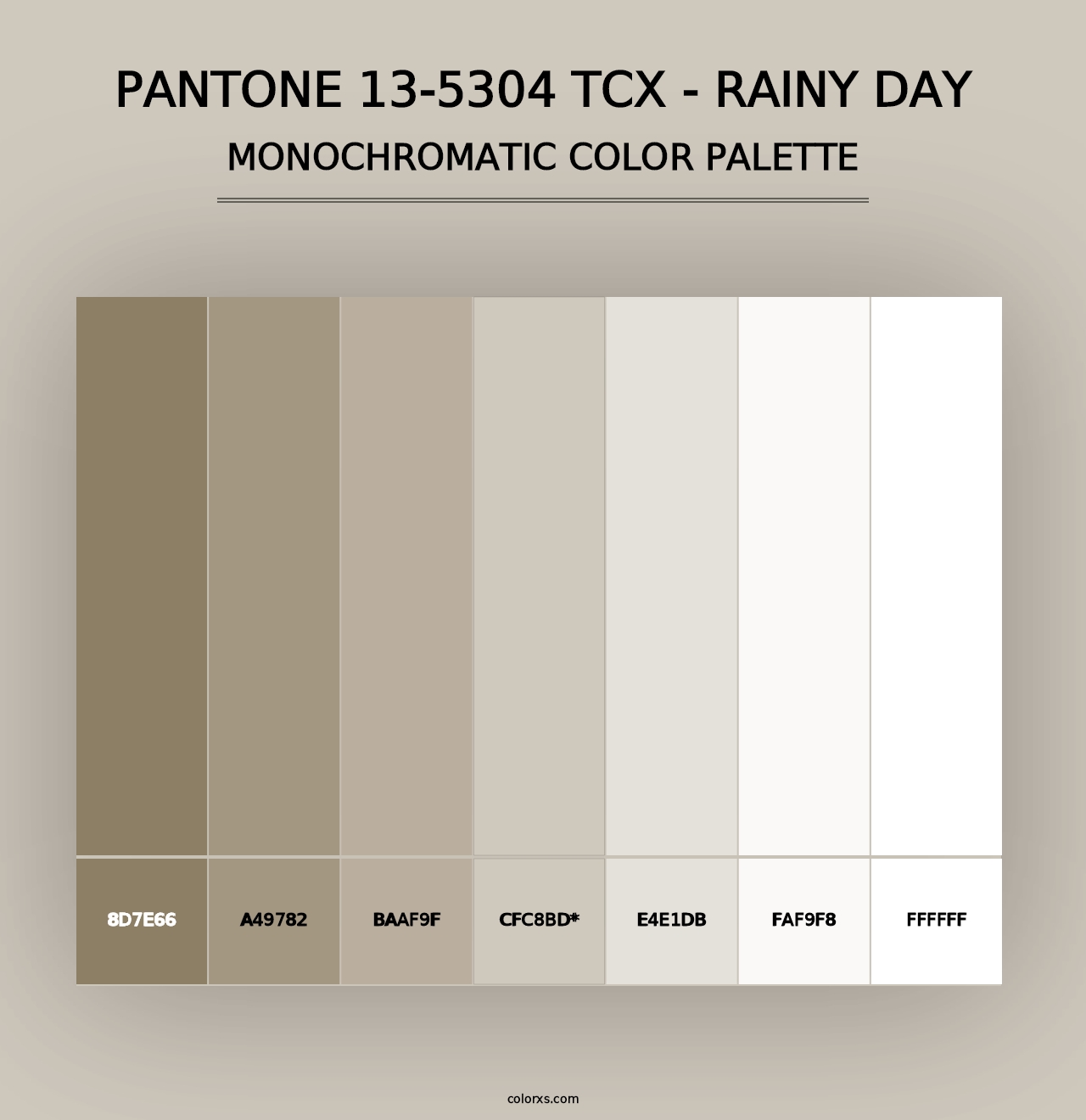 PANTONE 13-5304 TCX - Rainy Day - Monochromatic Color Palette